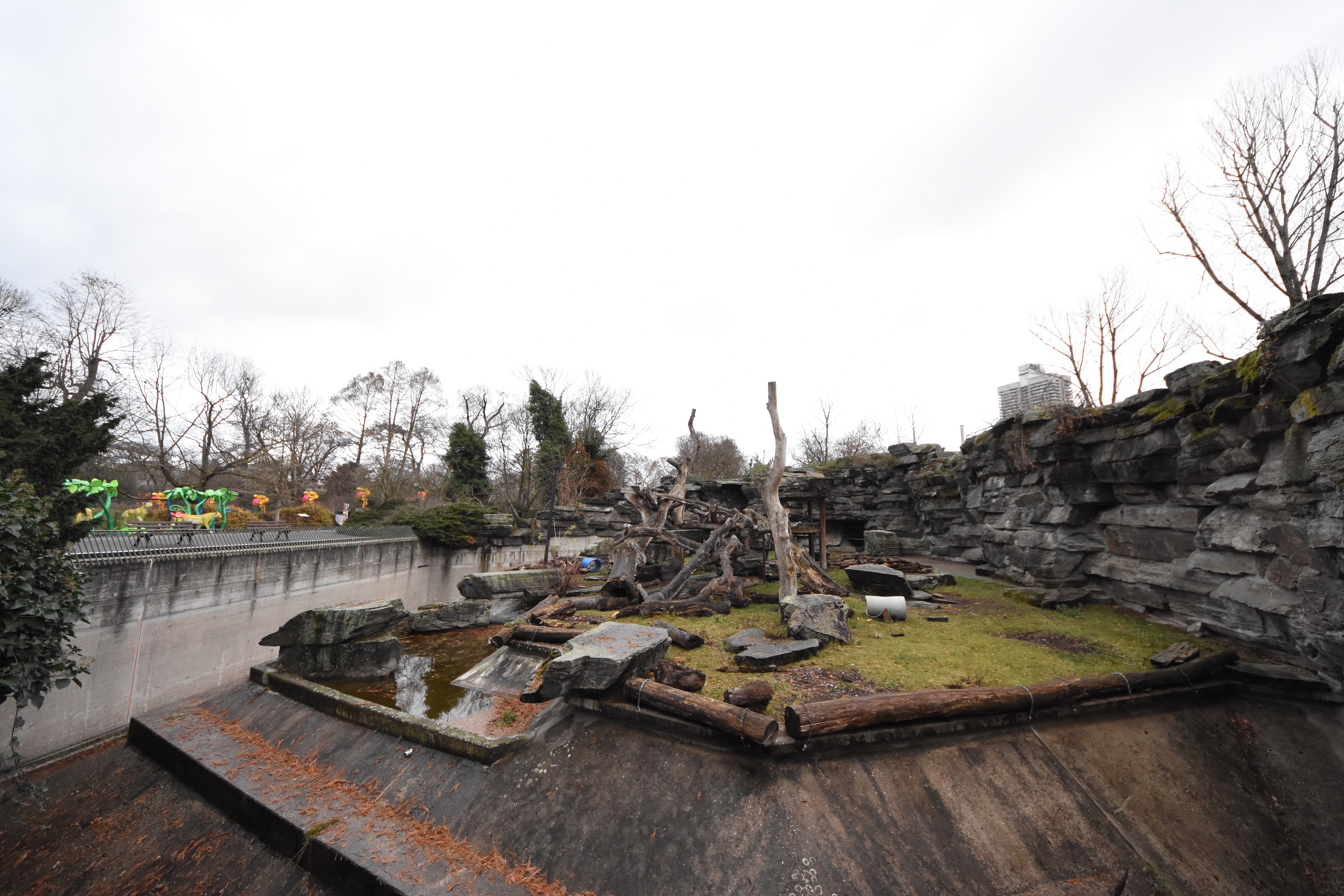 Malayan sun bear enclosure