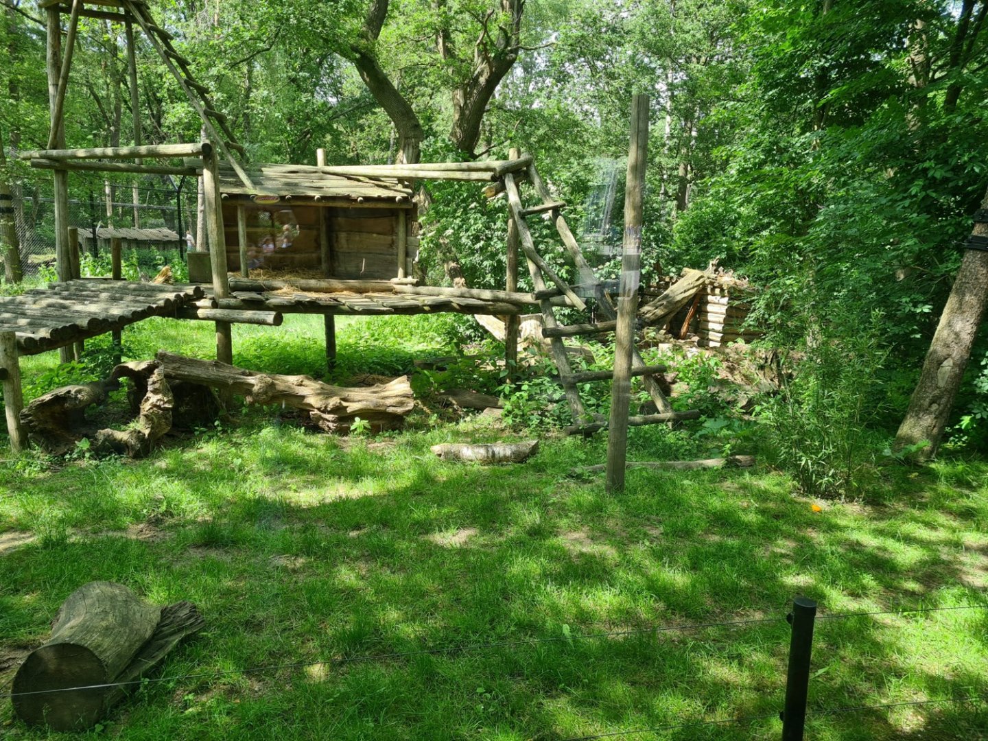 Malayan sun bear enclosure