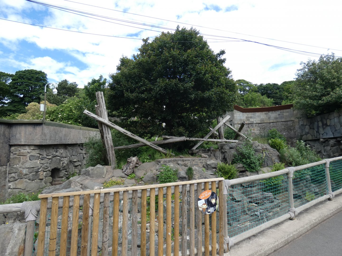 Malayan sun bear enclosure