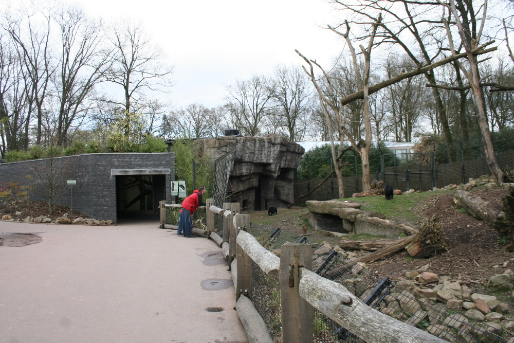 Malayan Sun Bear Exhibit 1