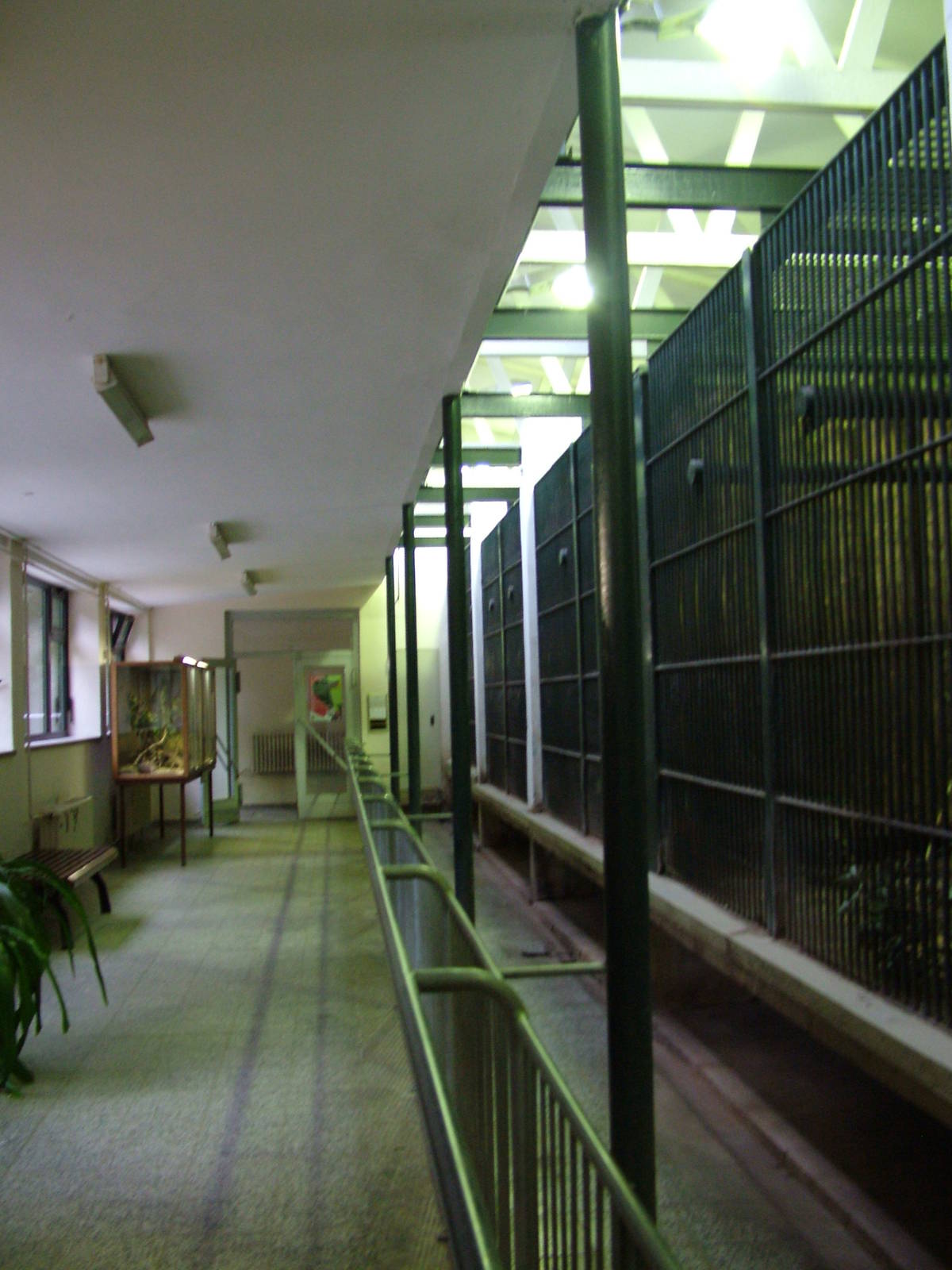 Malayan Sun Bear Exhibit at Tierpark Berlin, 30/08/11