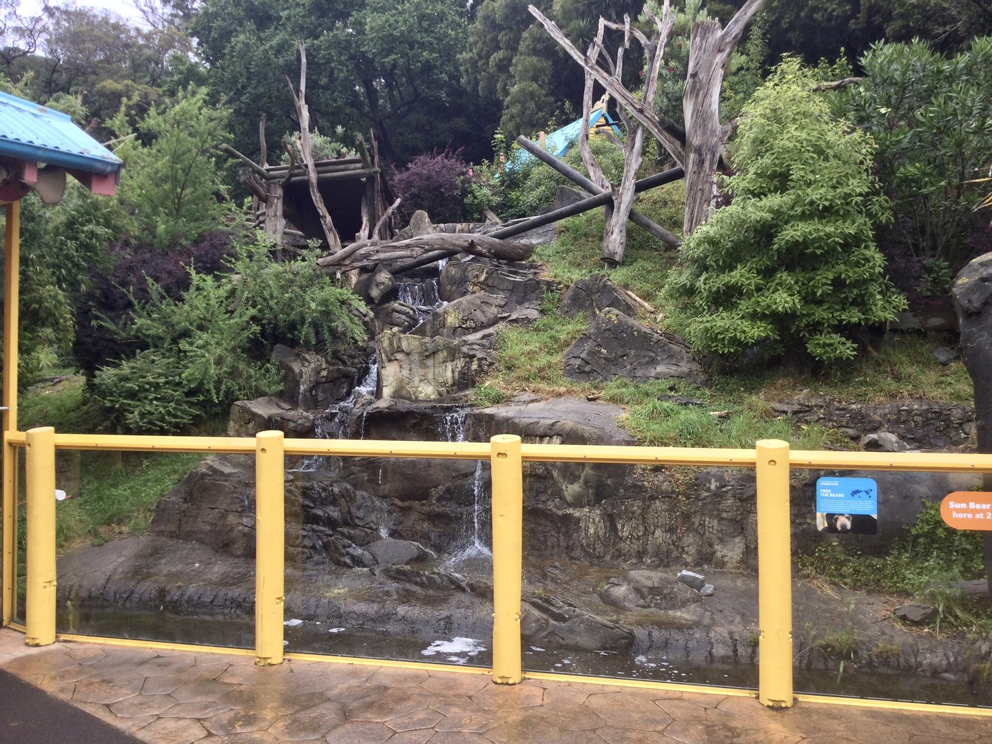 Malayan Sun Bear Exhibit - Ground View