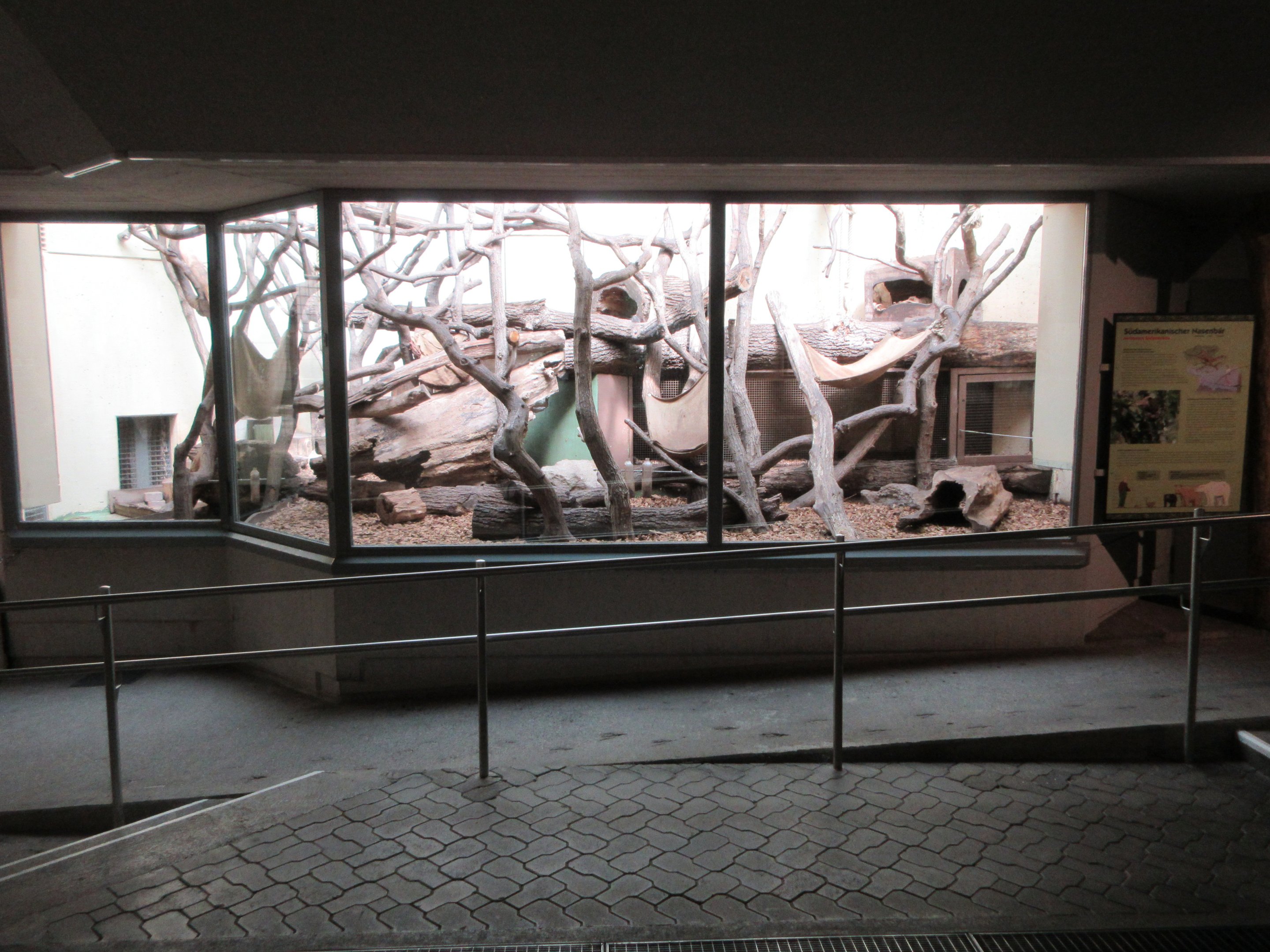 Malayan Sun Bear Exhibit - indoor viewing