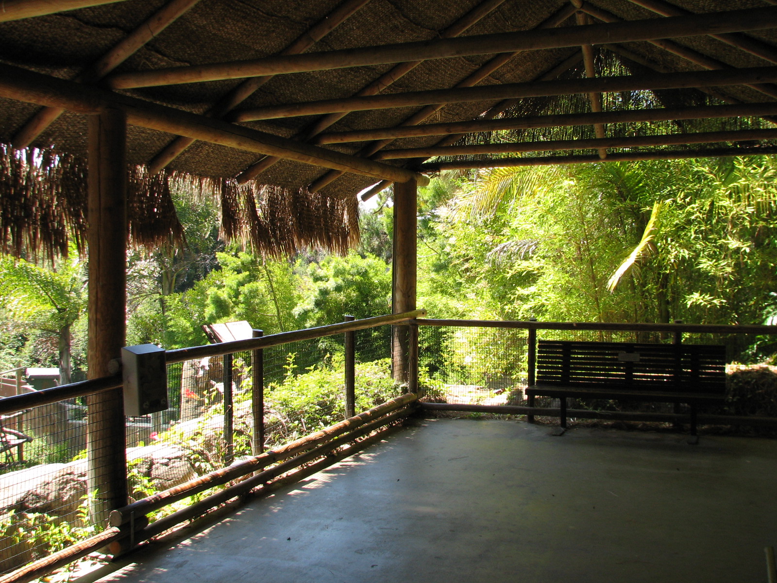Malayan Sun Bear Exhibit - Viewing Shelter Interior