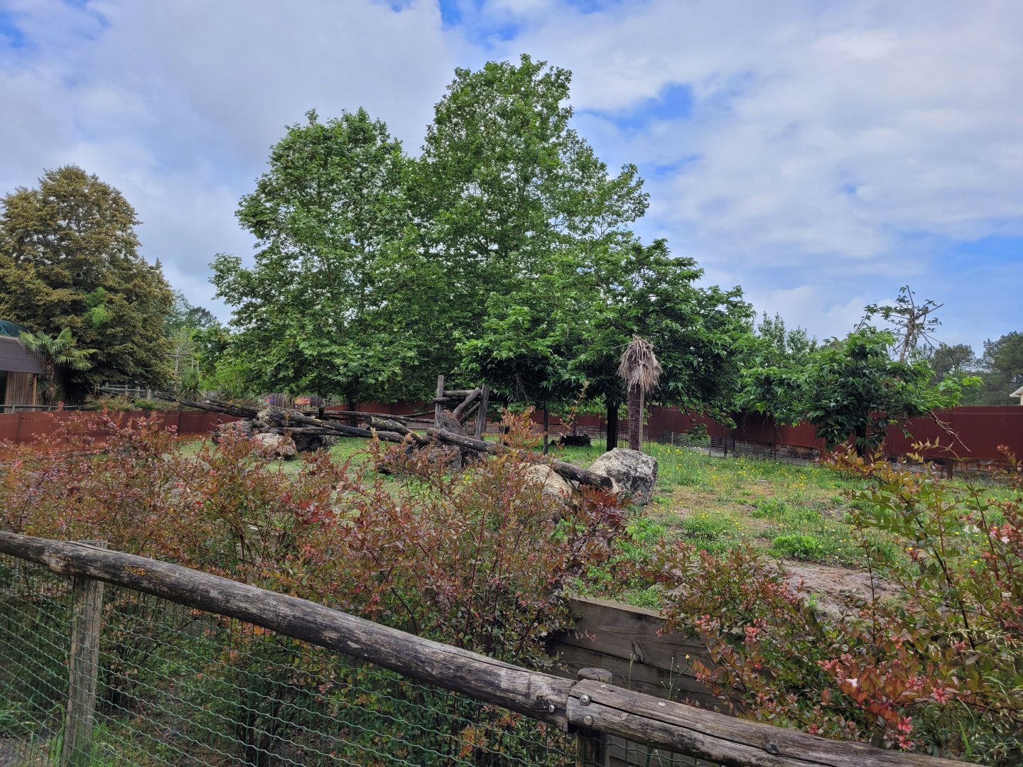 Malayan sun bear exhibit -Zoo du bassin d'Arcachon (2024)
