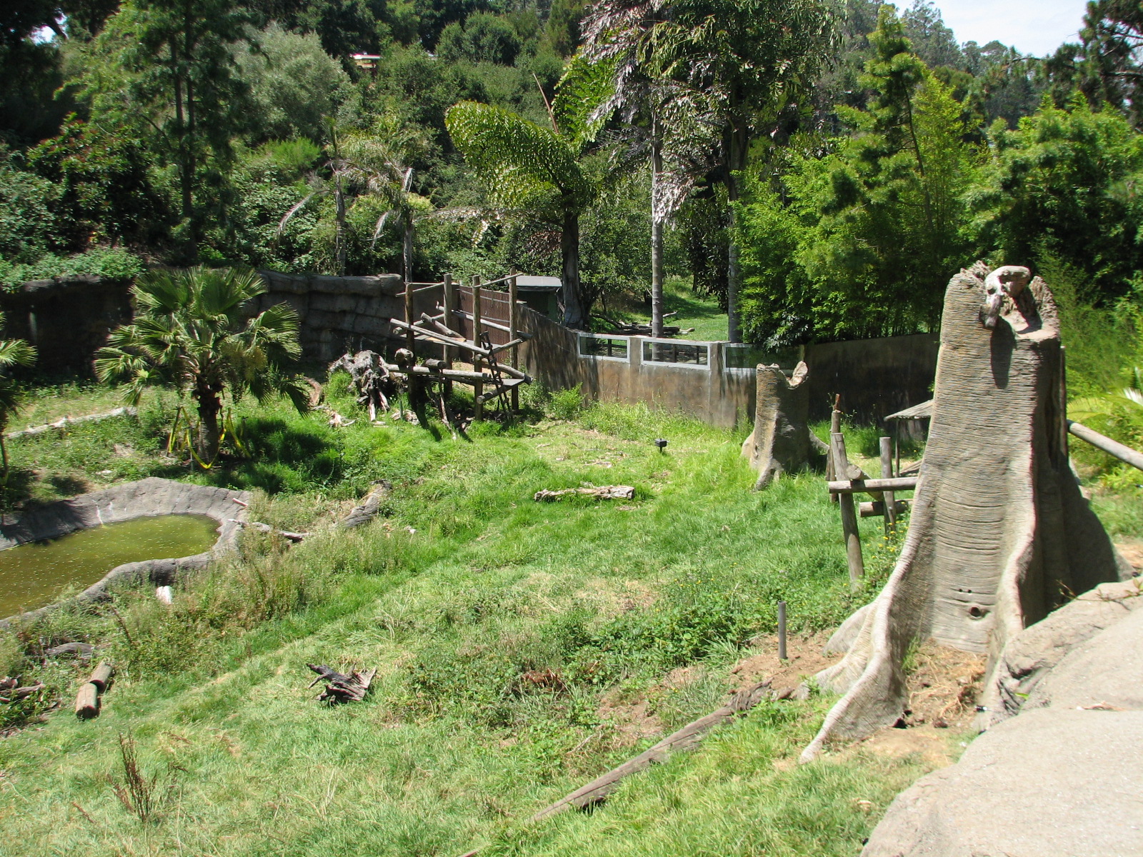 Malayan Sun Bear Exhibit