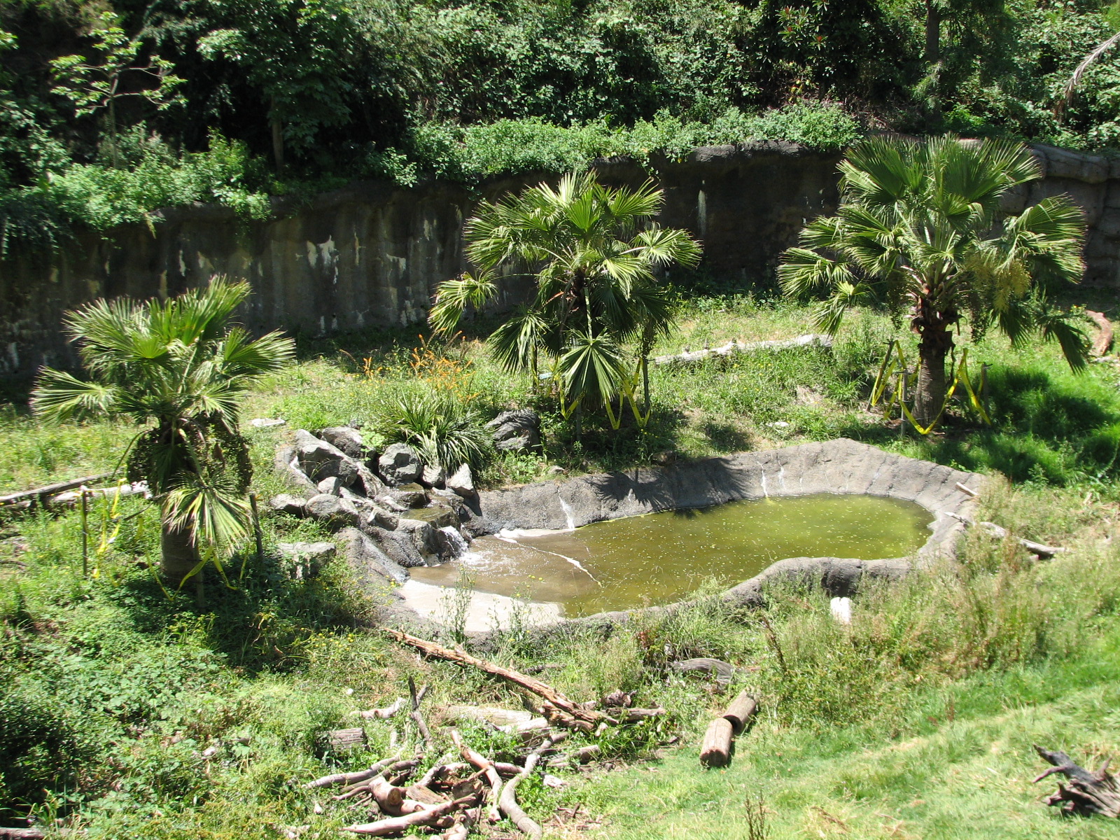 Malayan Sun Bear Exhibit