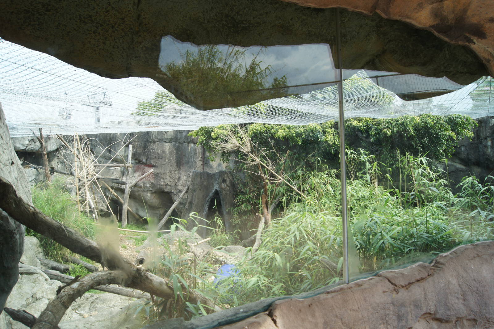 Malayan Sun Bear Exhibit
