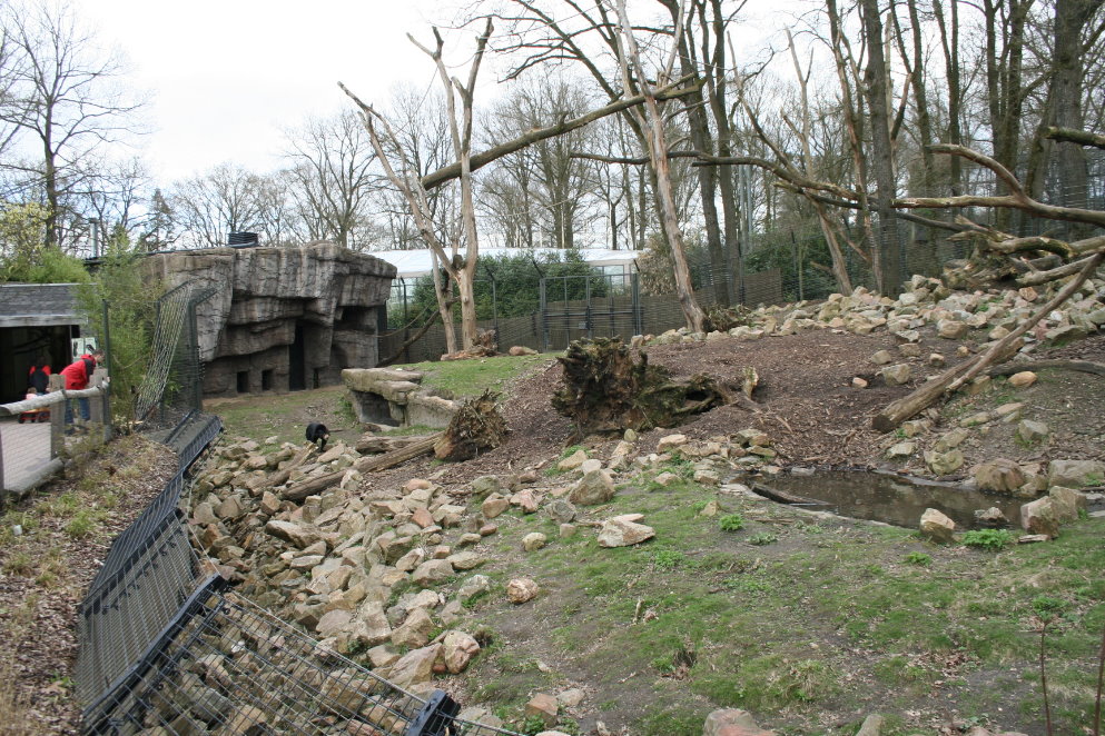Malayan Sun Bear Exhibit