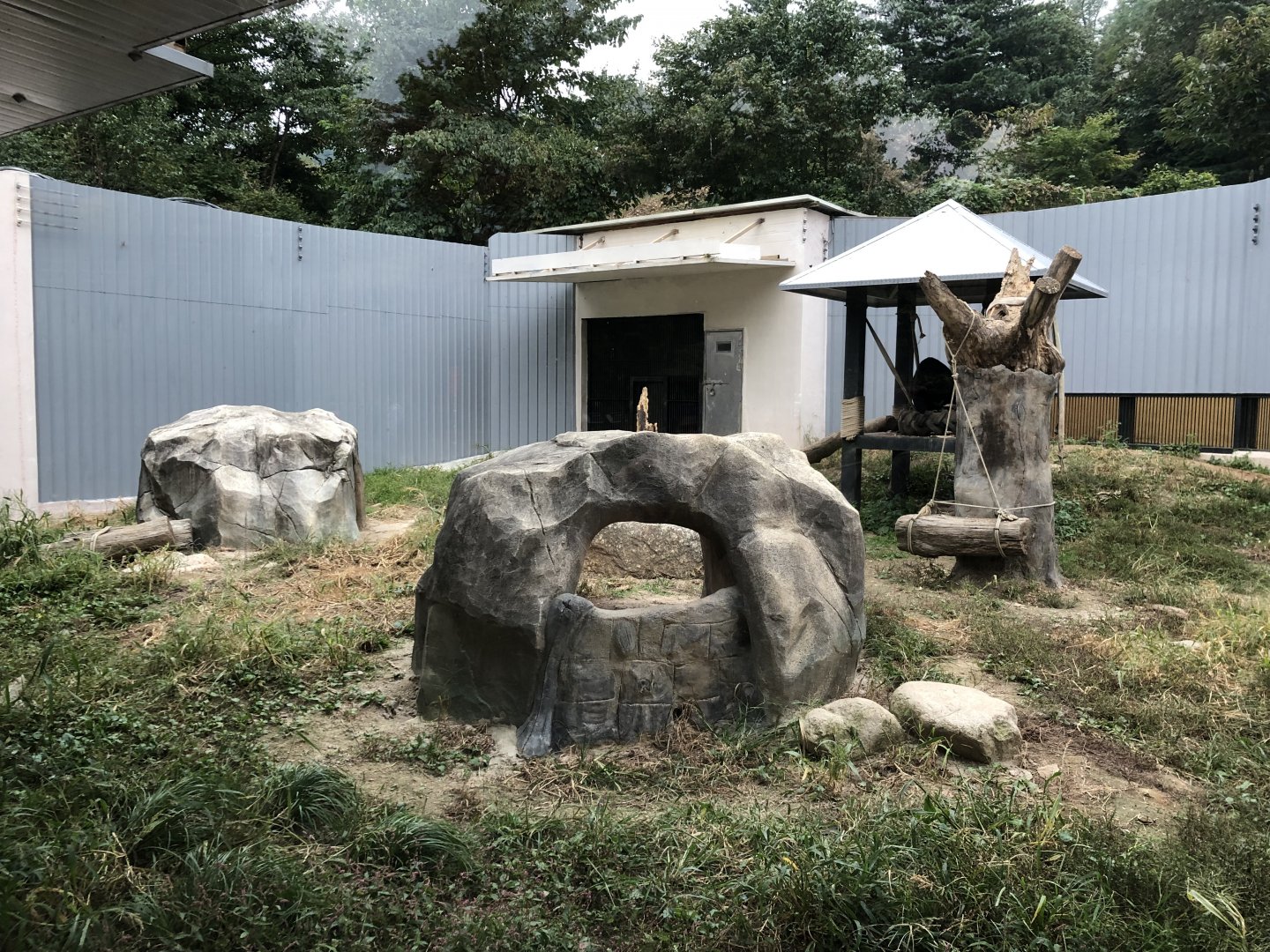 Malayan Sun Bear Exhibit