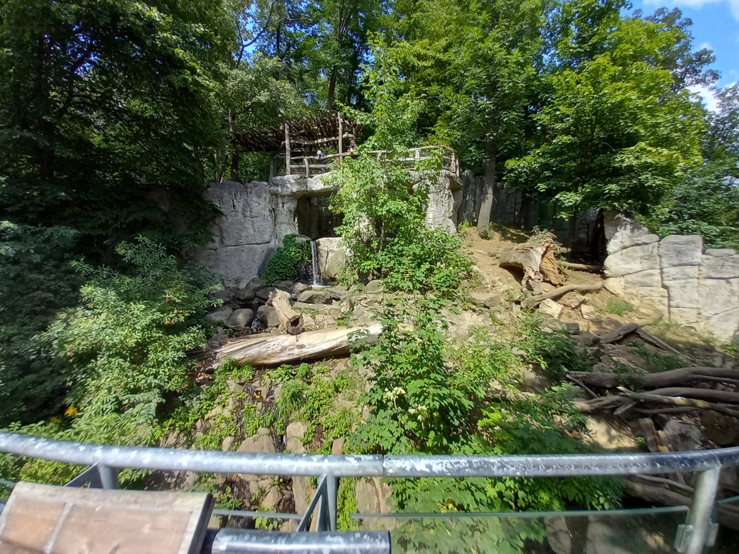 Malayan sun bear's exhibit
