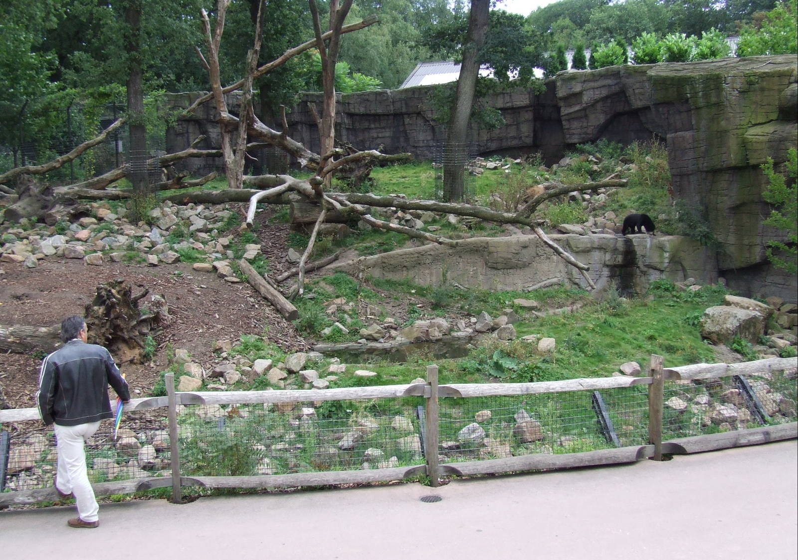 Malayan Sunbear & Binturong mixed exhibit photos
