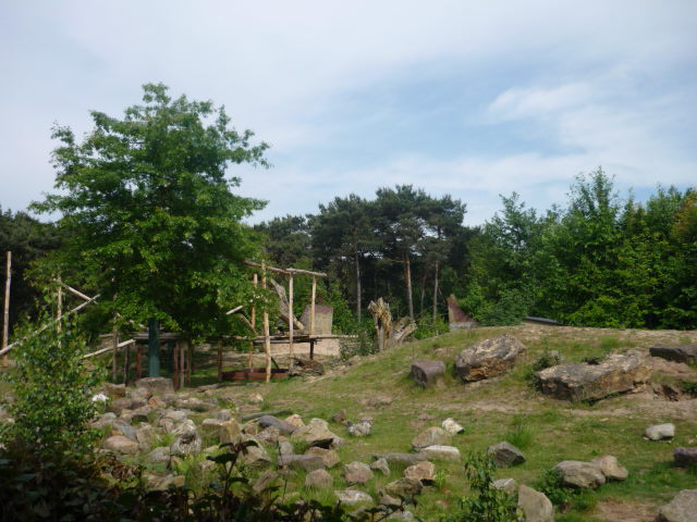 Malayan Sunbear Exhibit