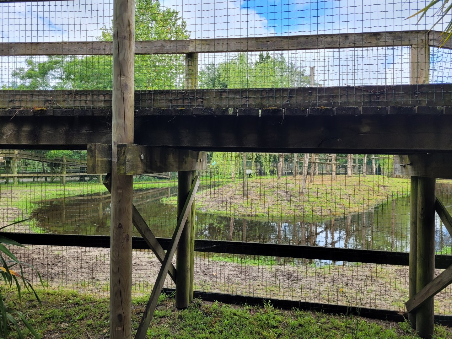 Malayan tapir and Bar-headed goose exhibit -Zoo du bassin d'Arcachon (2024)