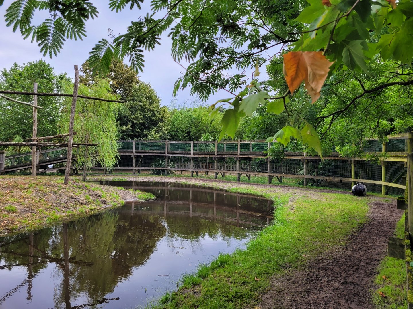 Malayan tapir and Bar-headed goose exhibit -Zoo du bassin d'Arcachon (2024)