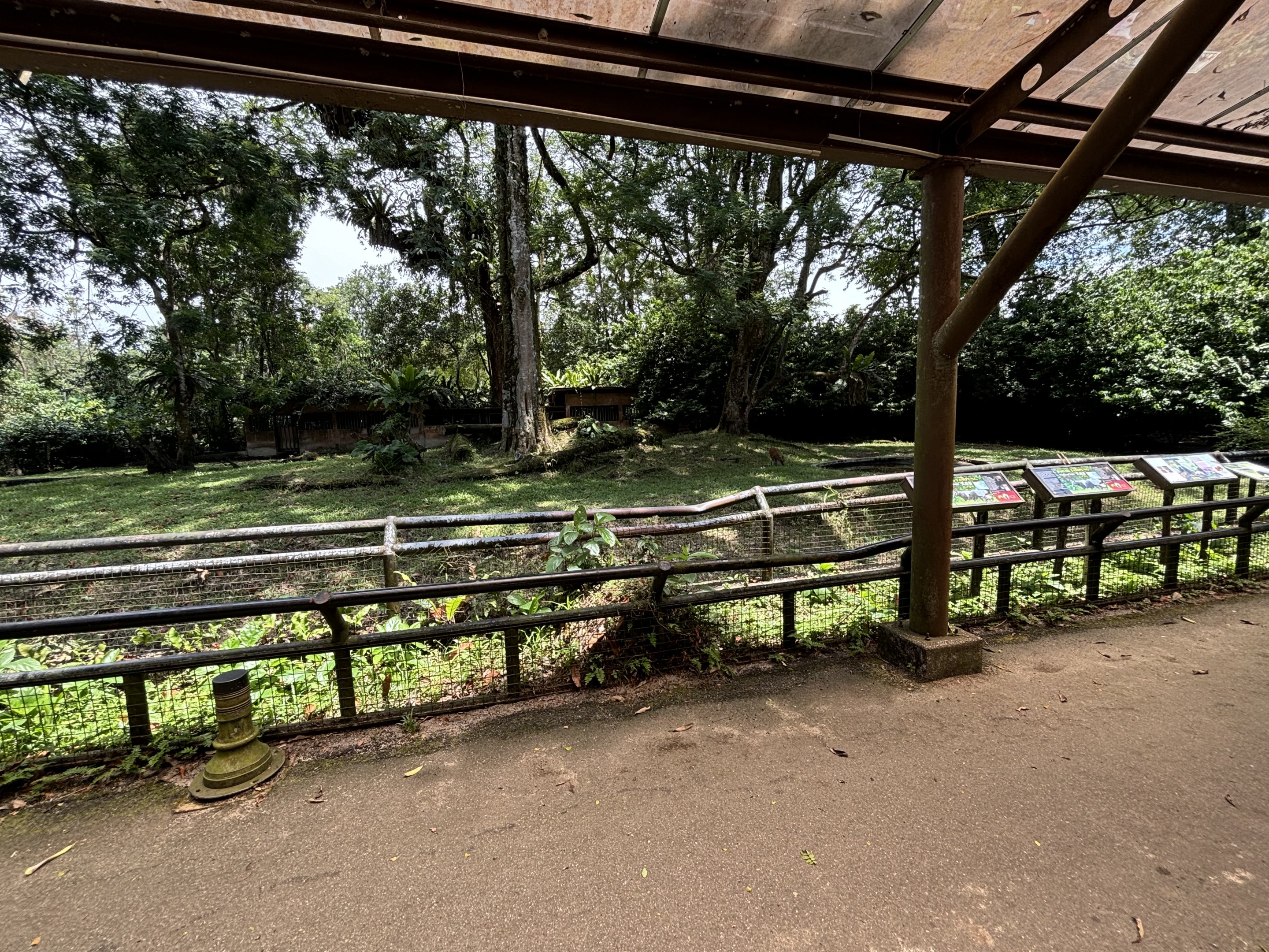 Malayan Tapir/Barking Deer Exhibit