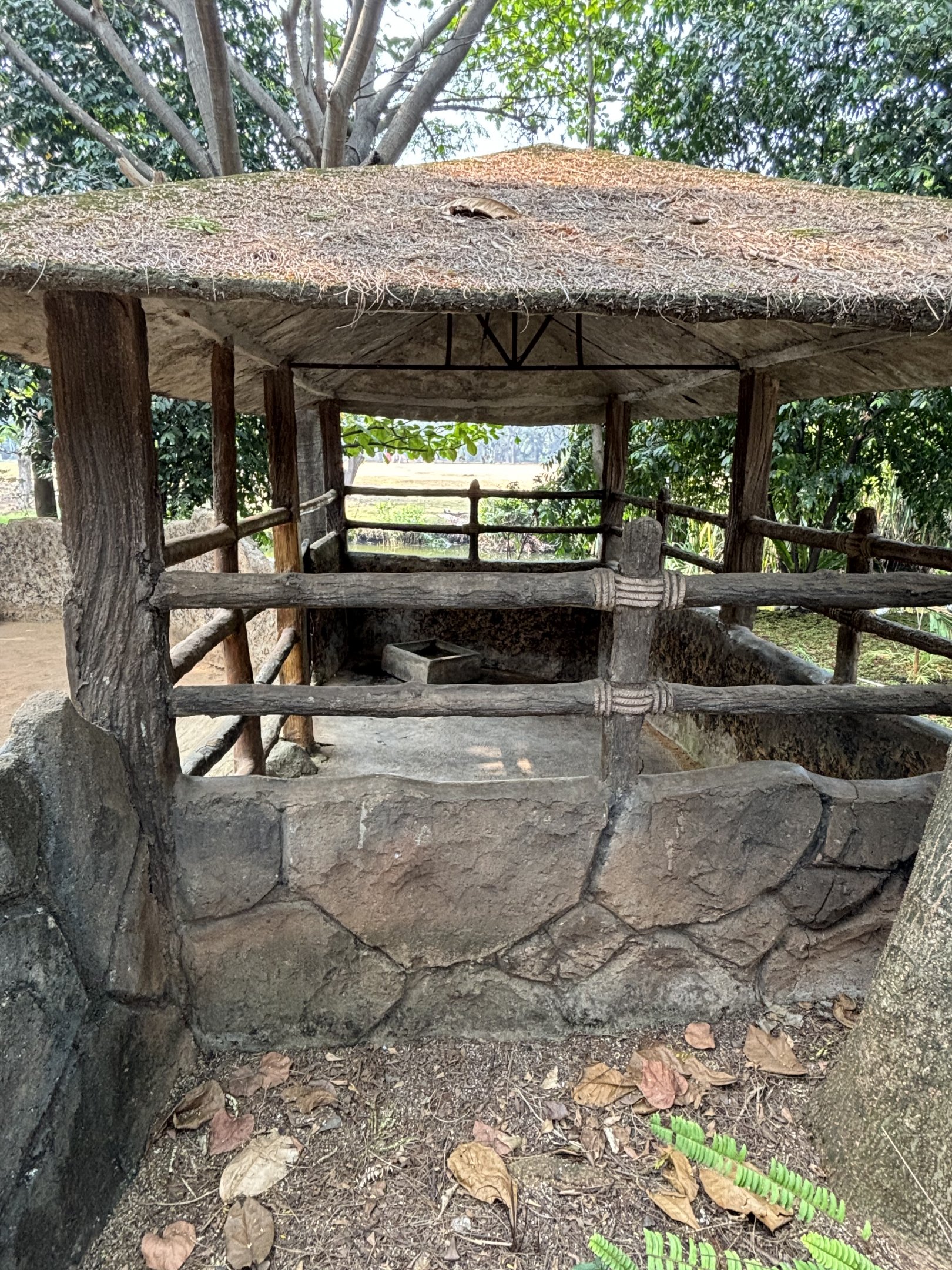 Malayan Tapir “Barn”