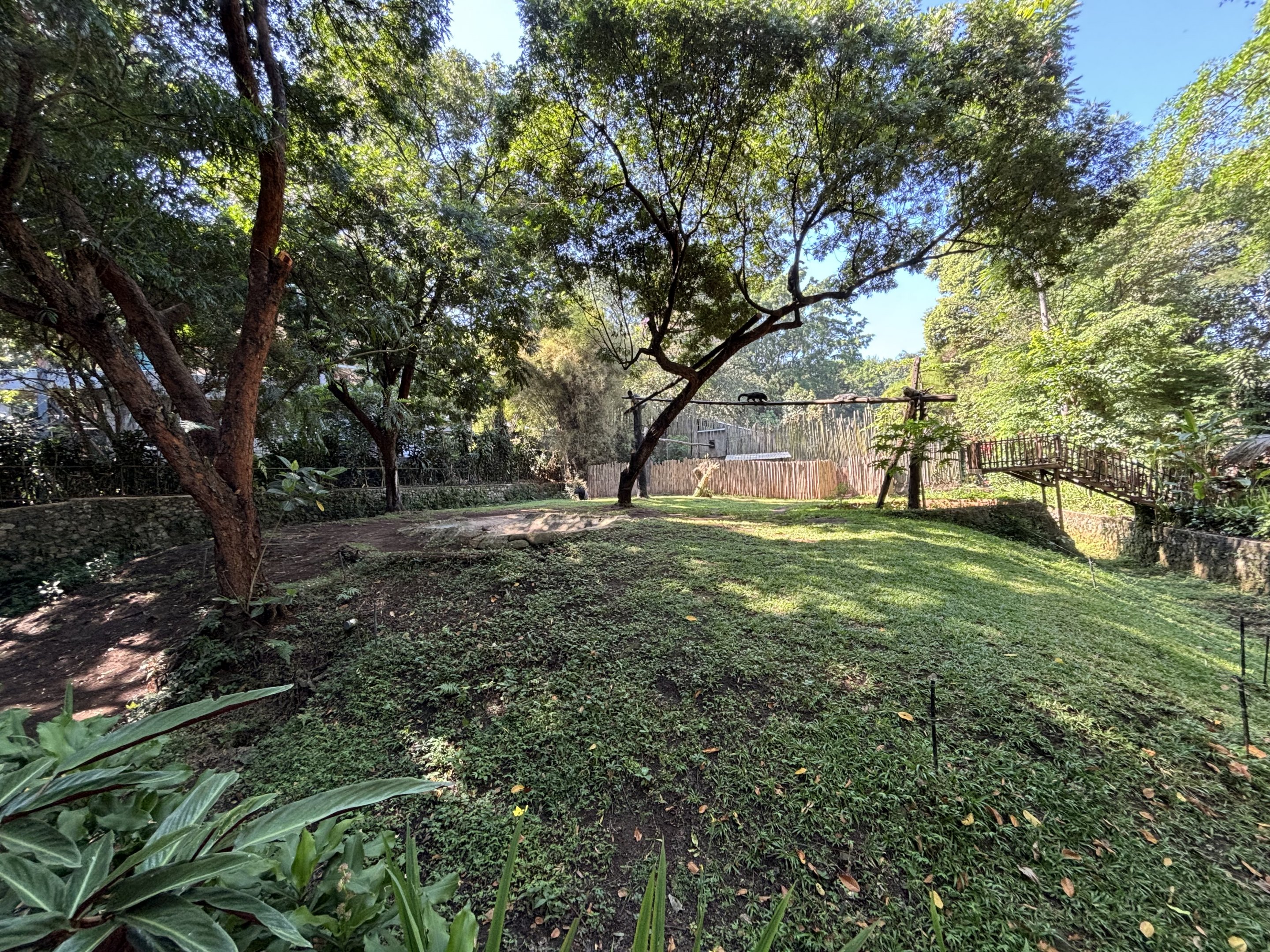 Malayan Tapir + Binturong Exhibits