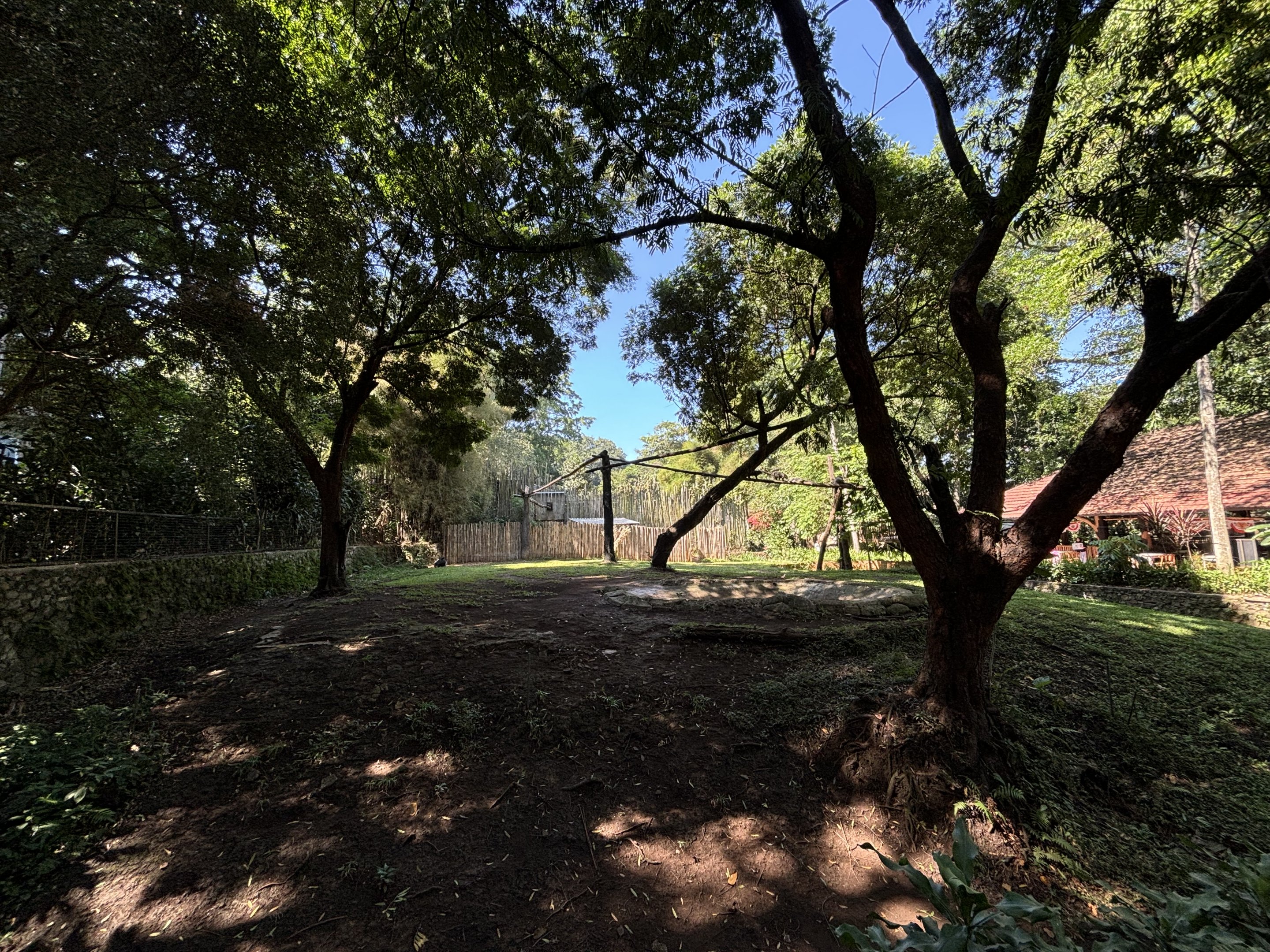 Malayan Tapir + Binturong Exhibits