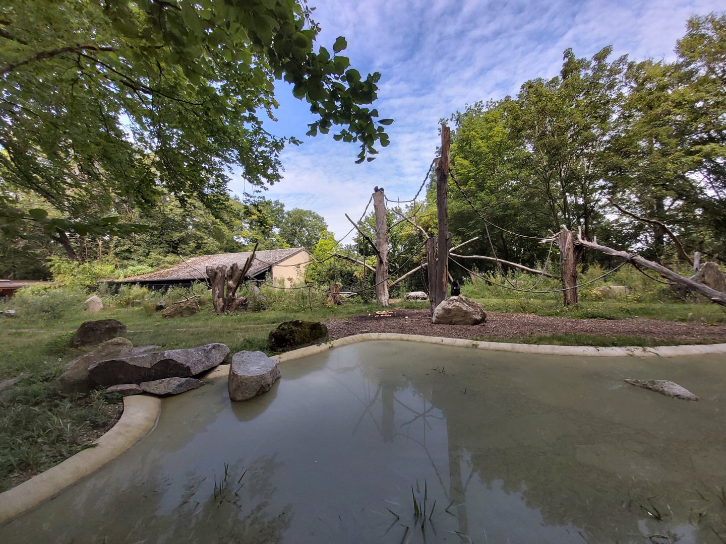 Malayan tapir & crested black macaque enclosure