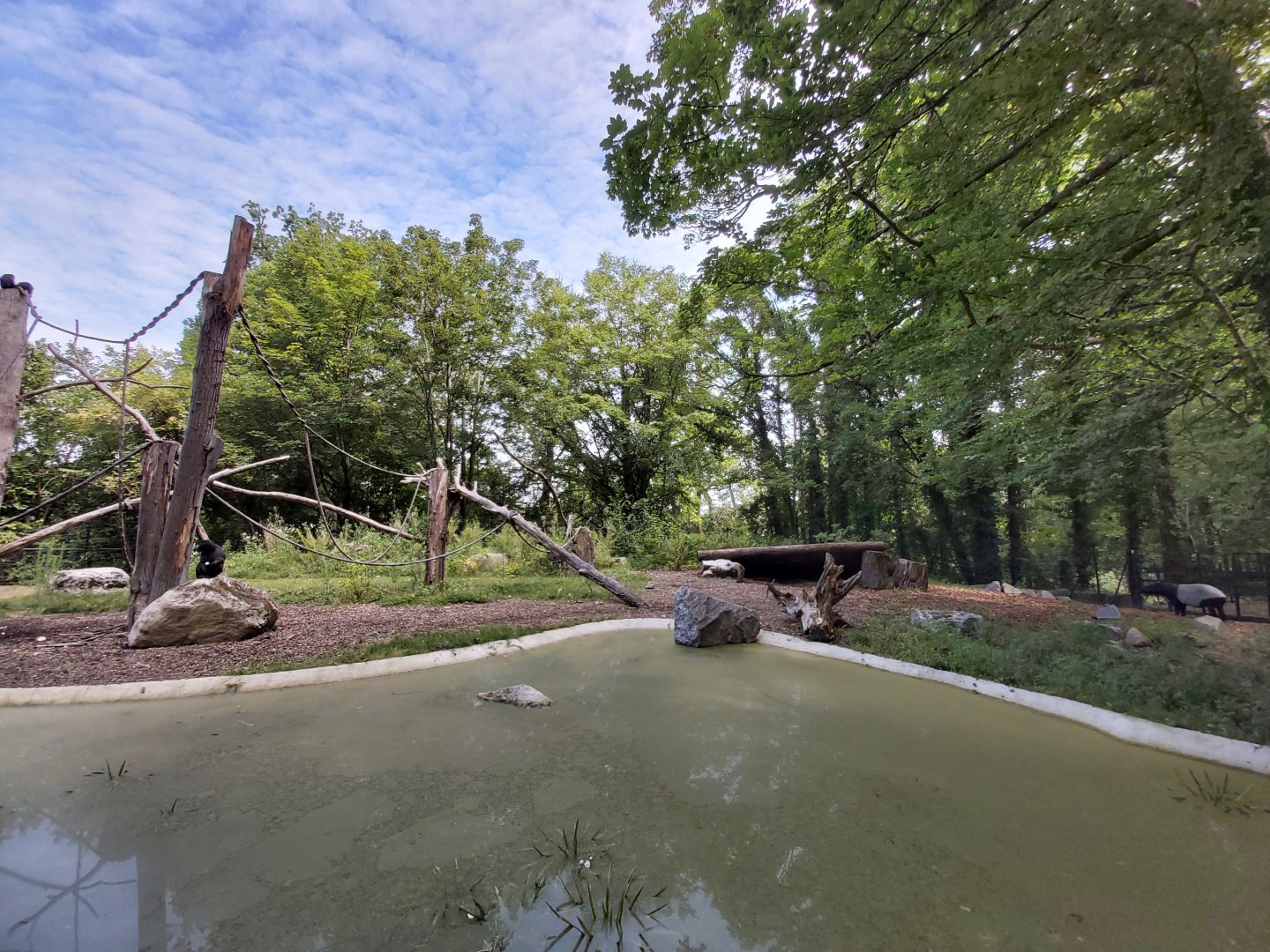 Malayan tapir & crested black macaque enclosure