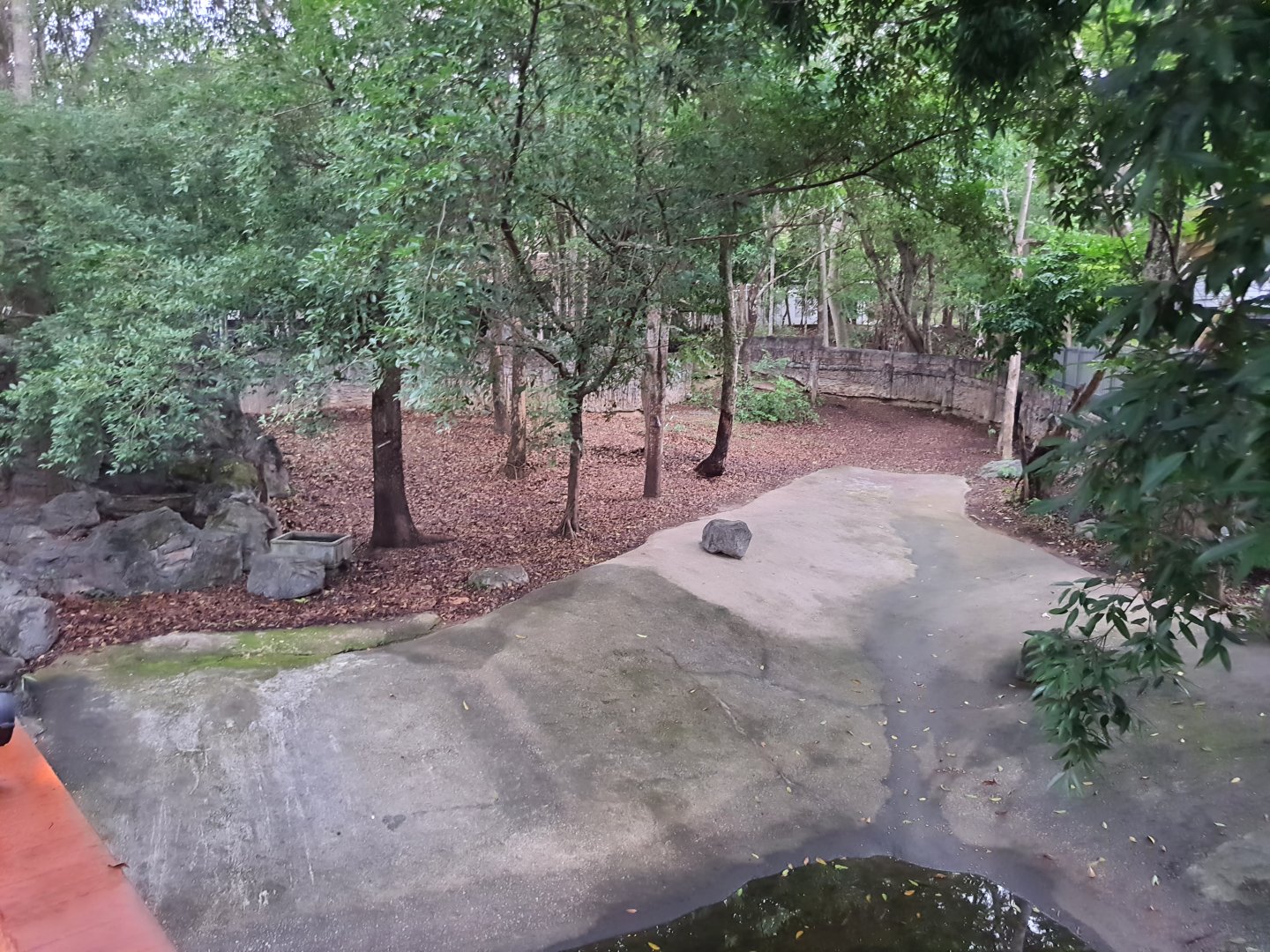Malayan Tapir enclosure on the other side of the walkway