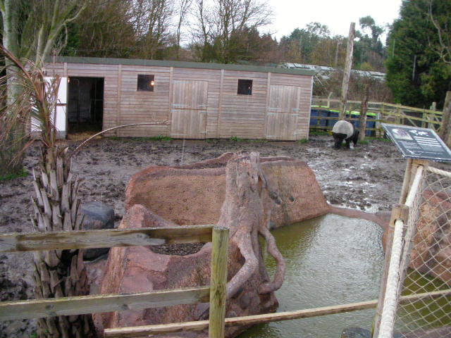 Malayan Tapir enclosure, RSCC, Kent