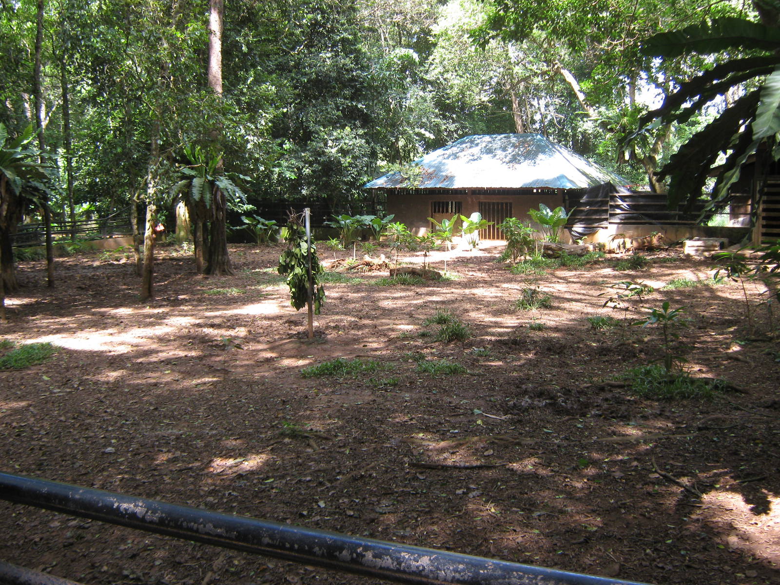 Malayan tapir enclosure