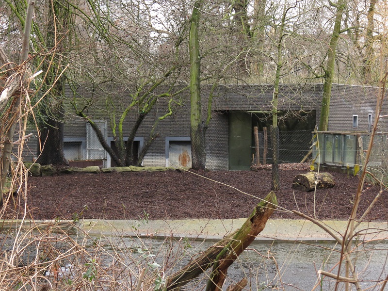 Malayan Tapir Enclosure