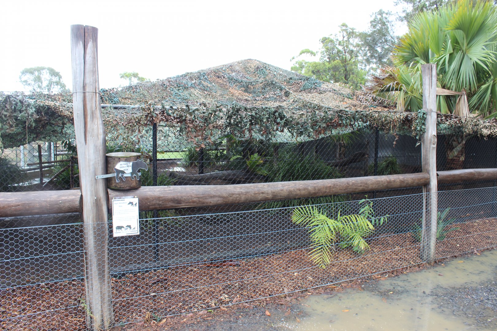 Malayan Tapir enclosure