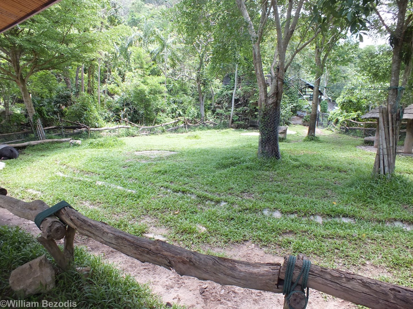 Malayan Tapir Enclosure