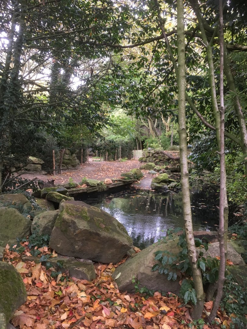 Malayan tapir enclosure
