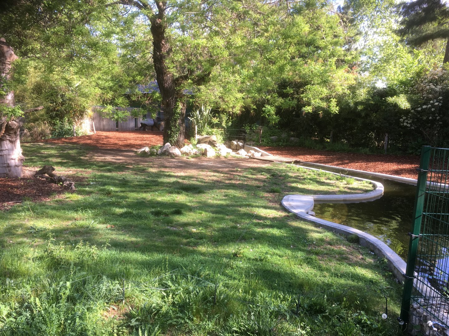 Malayan tapir enclosure