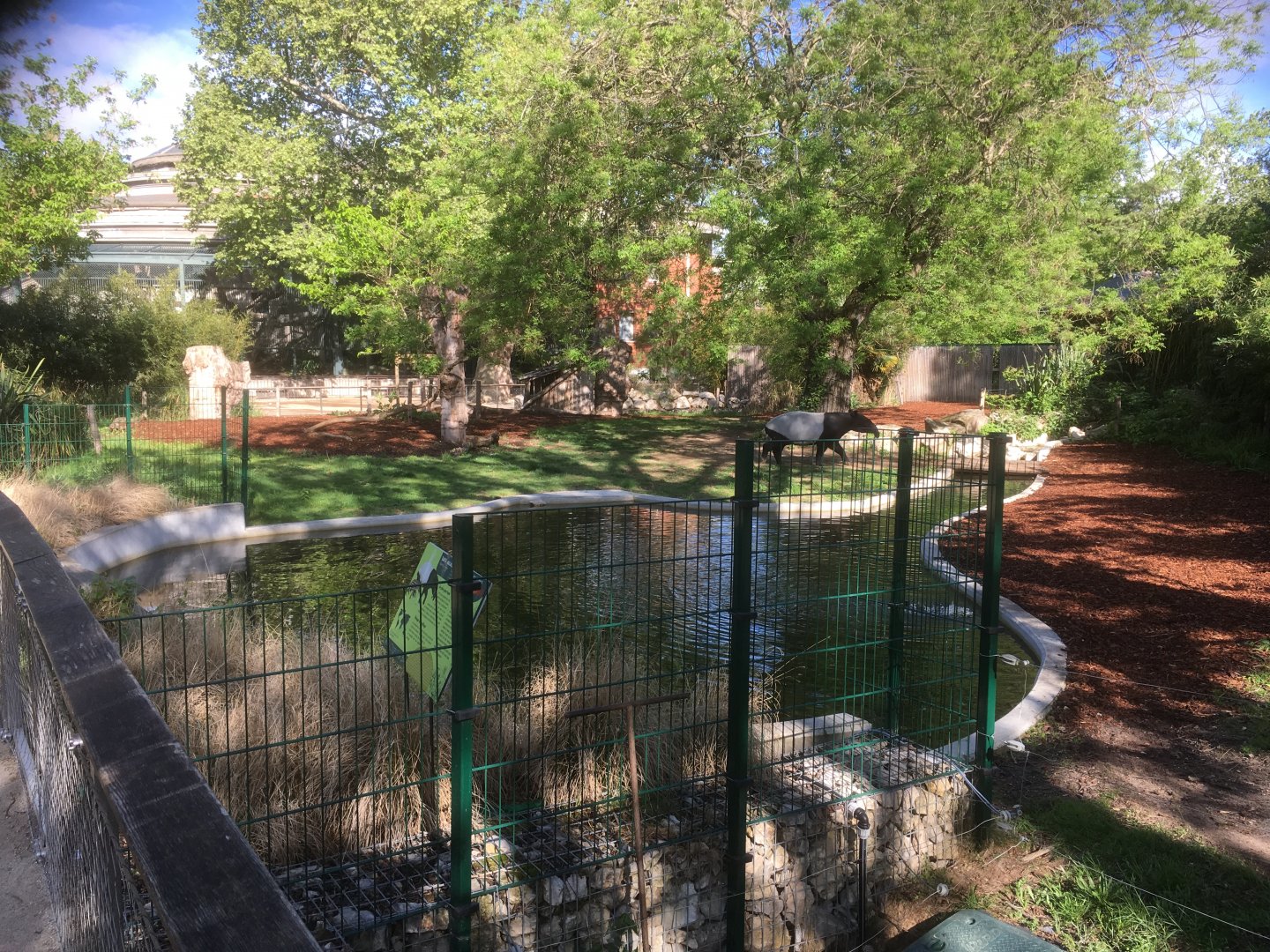 Malayan tapir enclosure