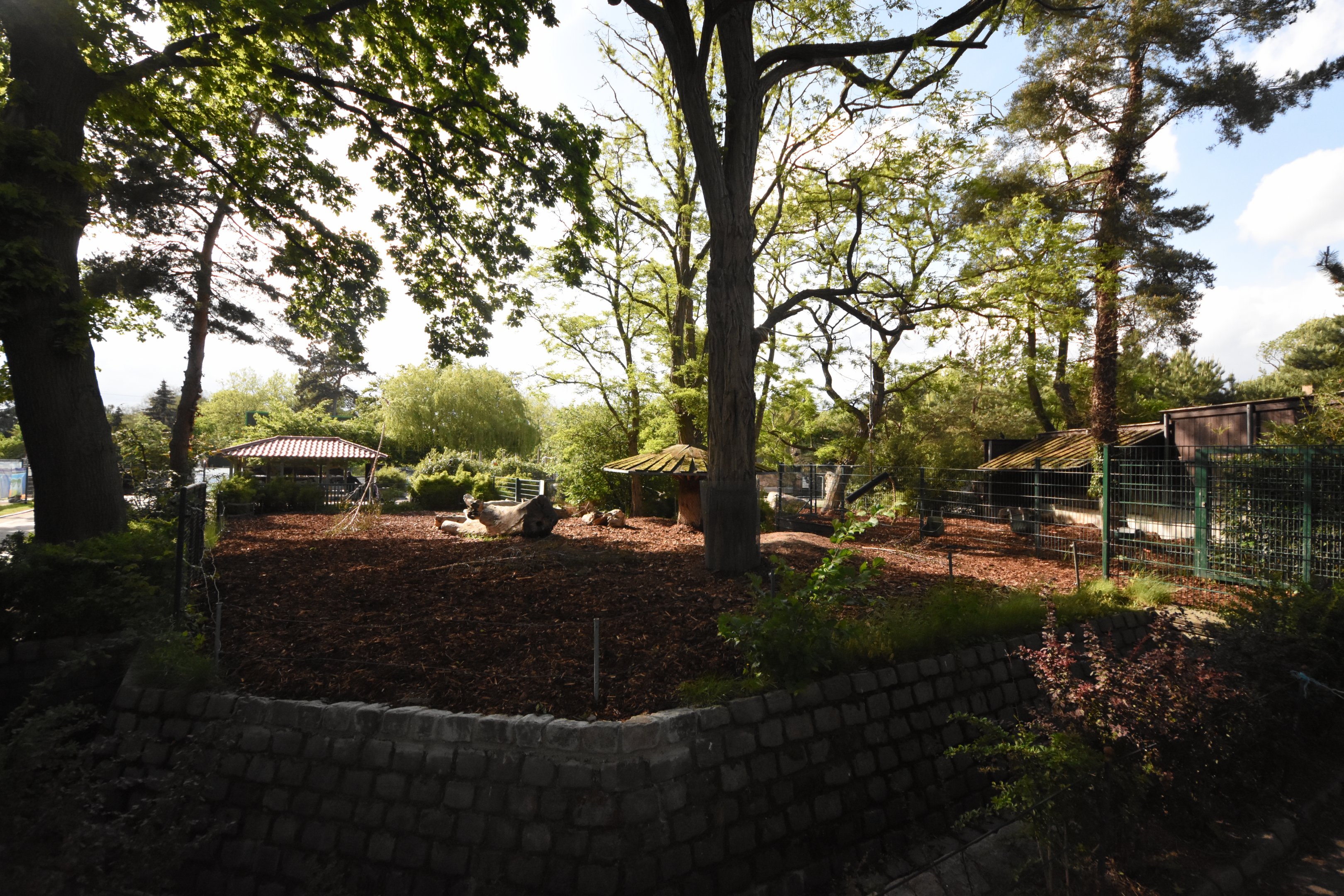 Malayan tapir enclosure