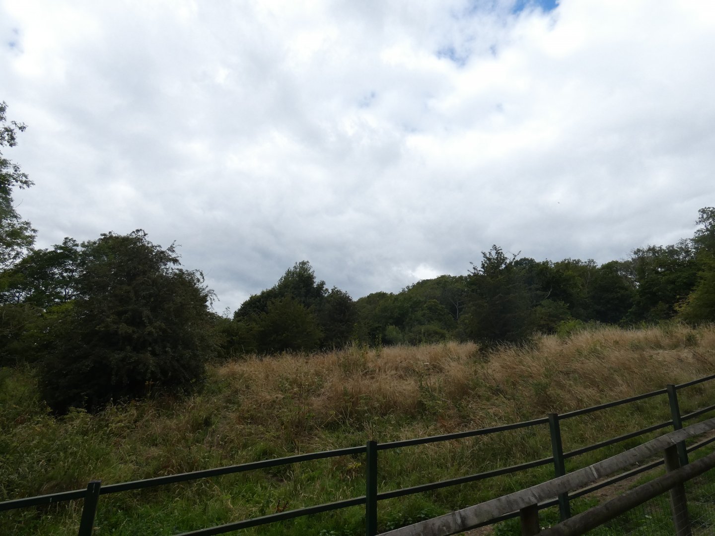 Malayan Tapir enclosure
