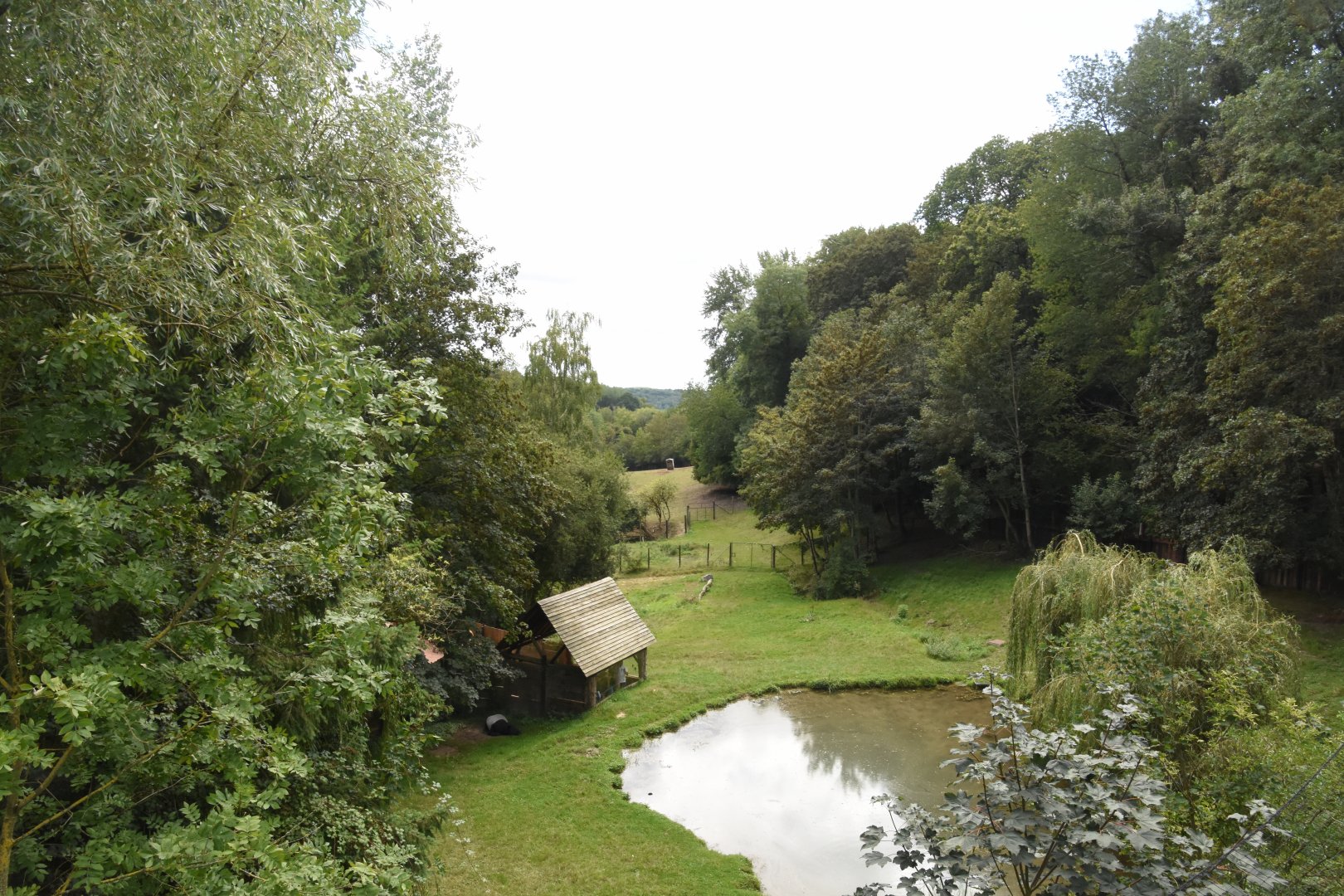 Malayan Tapir enclosure