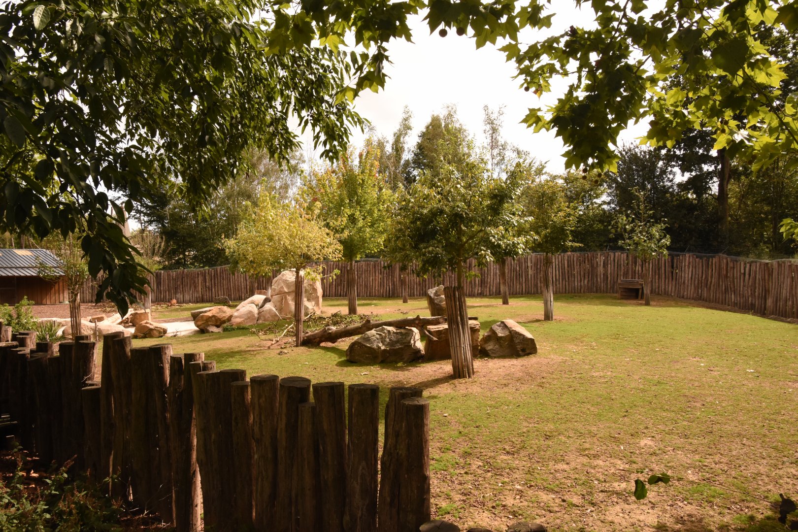 Malayan Tapir enclosure