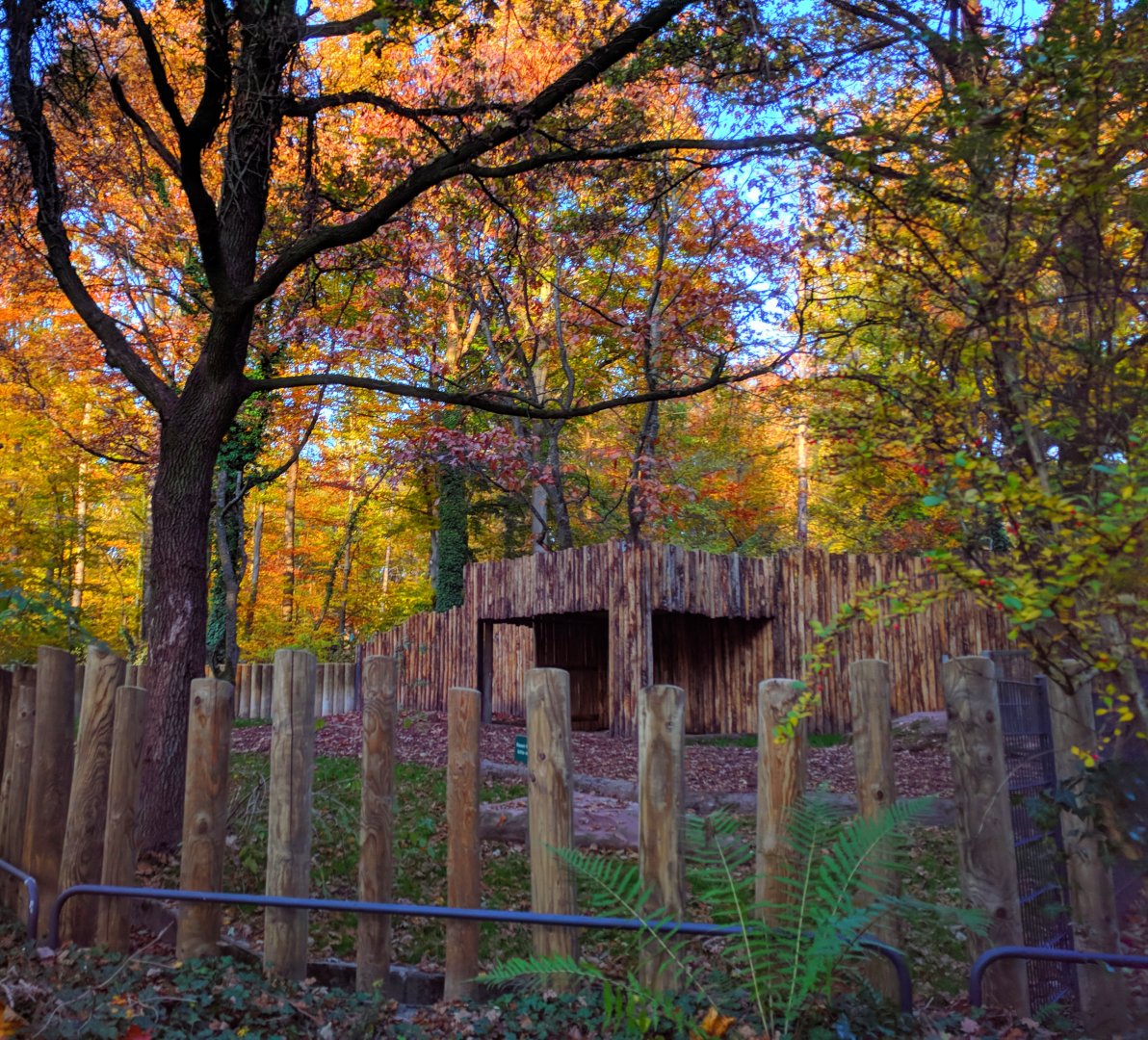 Malayan Tapir Enclosure