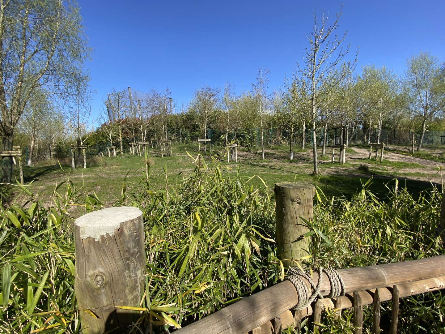 Malayan tapir enclosure