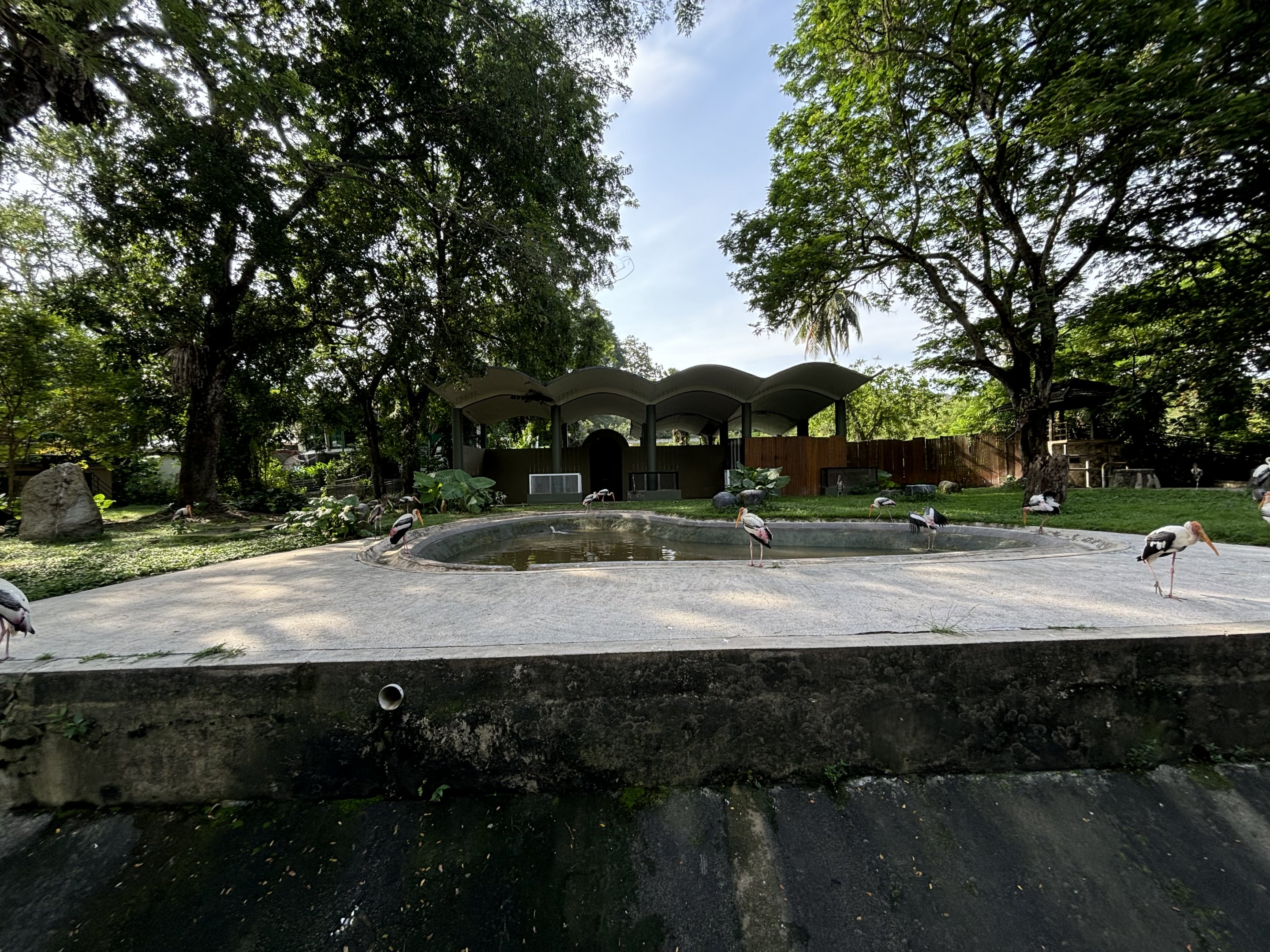 Malayan Tapir Exhibit #1 (ex-elephant)