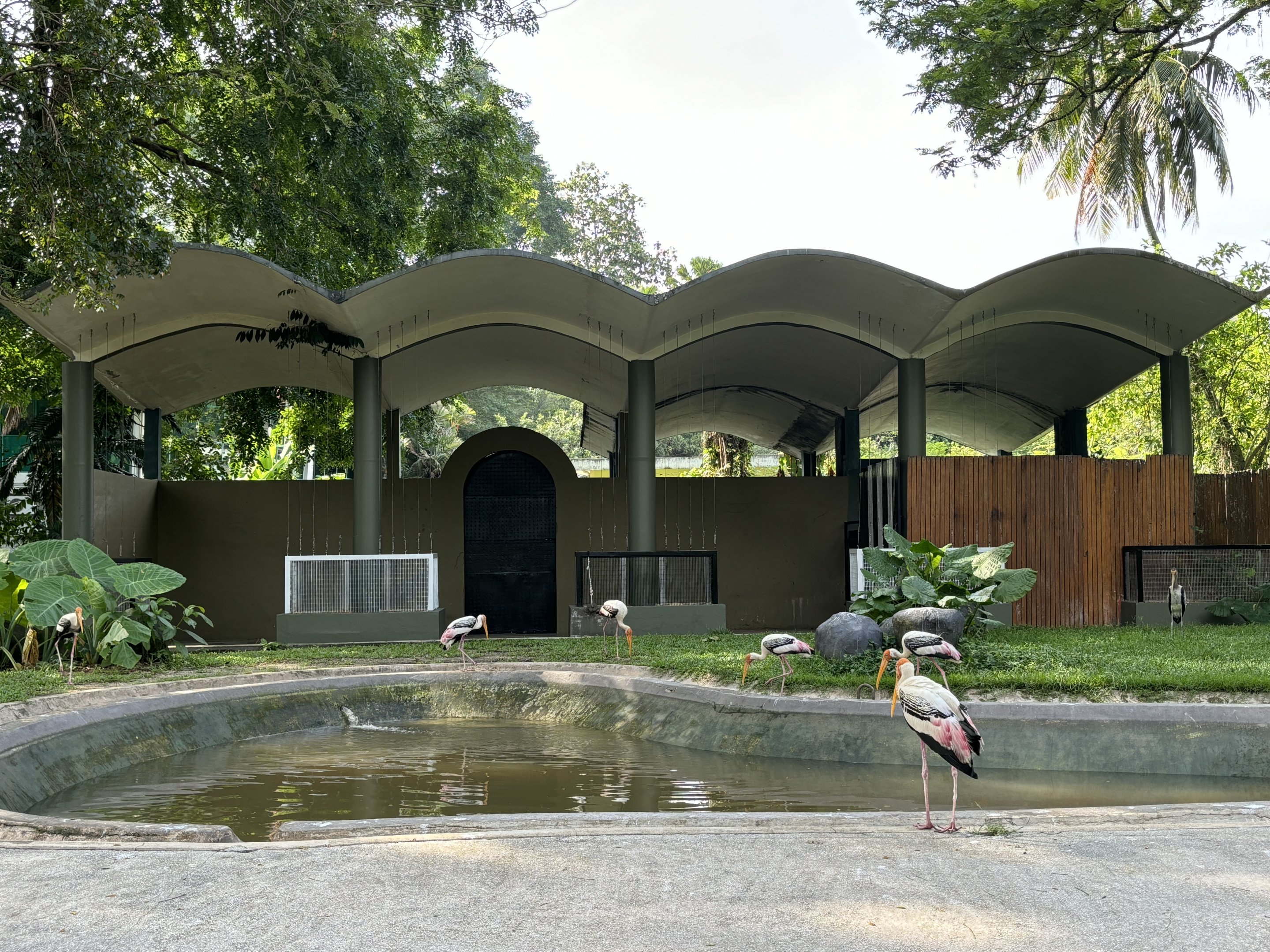 Malayan Tapir Exhibit #1 (ex-elephant)