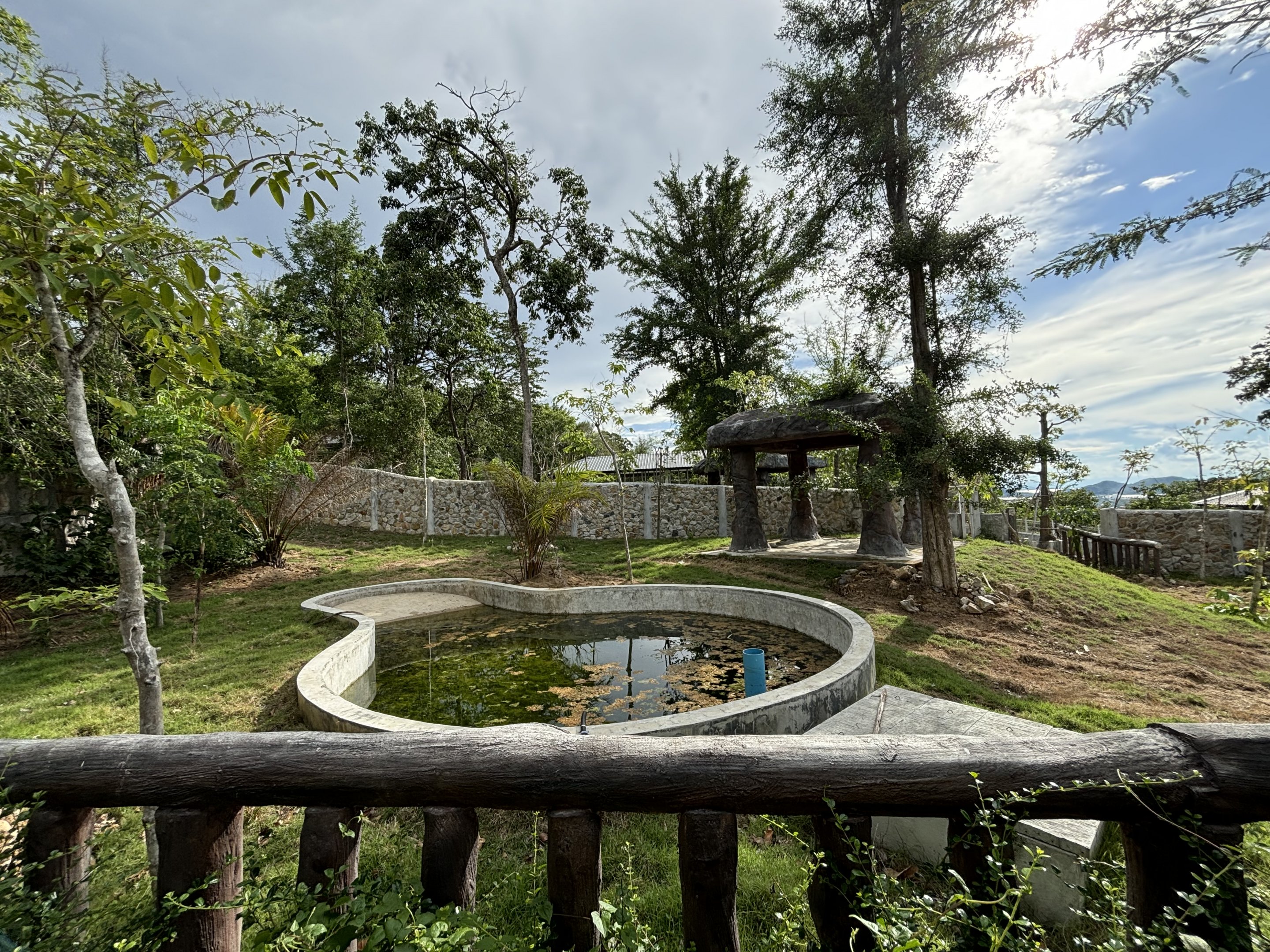 Malayan Tapir Exhibit #1 (New in 2024)