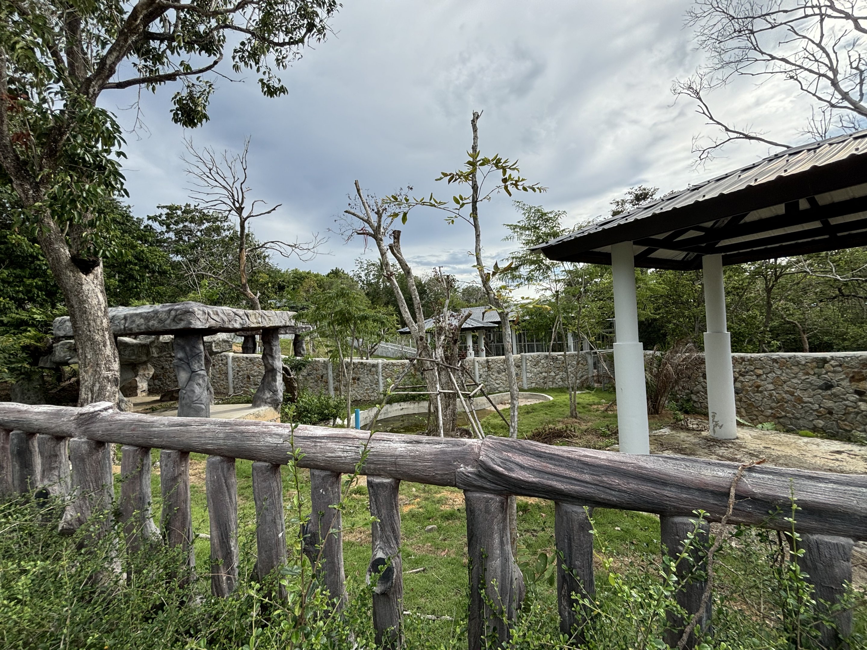 Malayan Tapir Exhibit #2 (New in 2024)