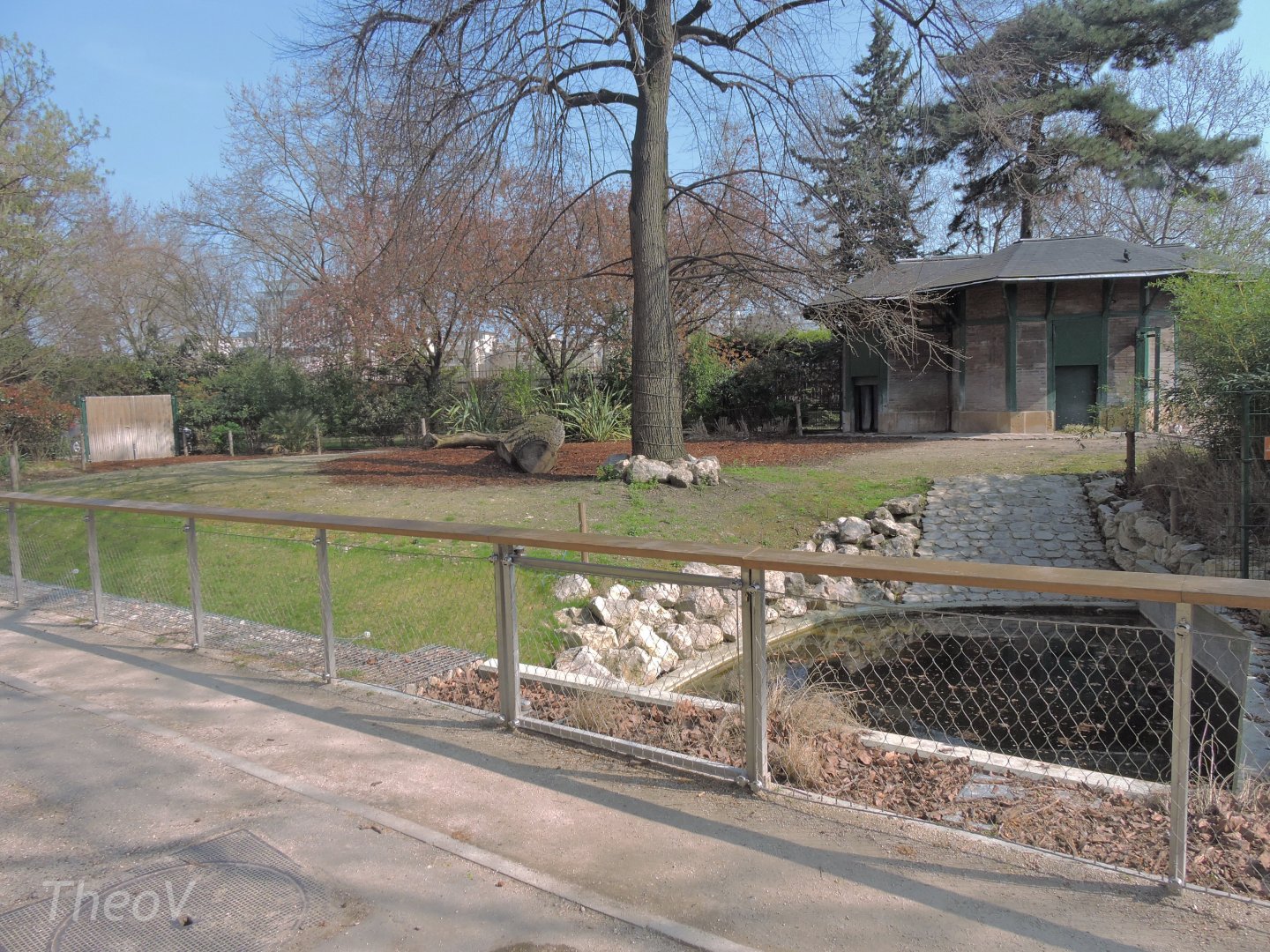 Malayan tapir exhibit [2017]
