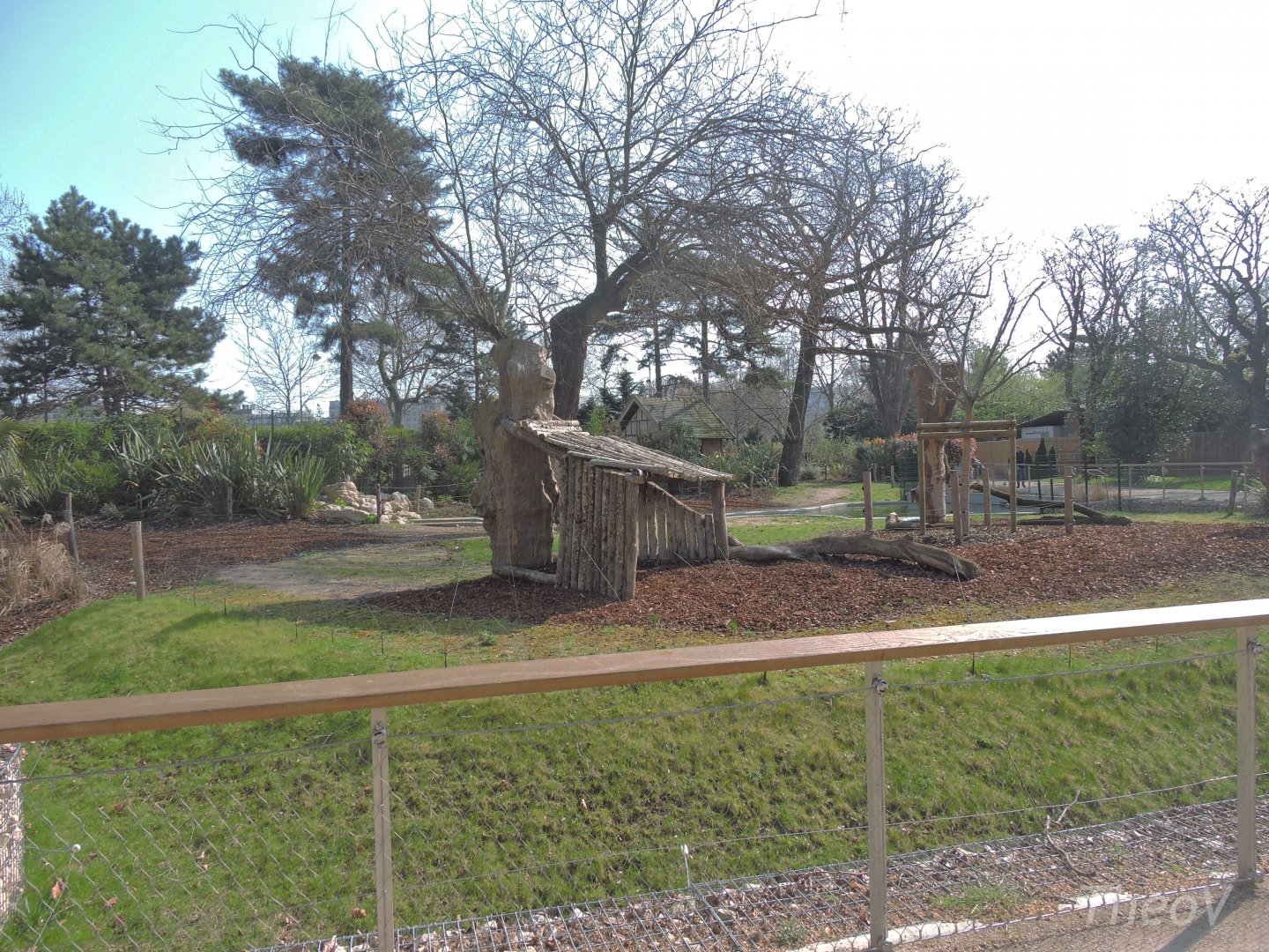 Malayan tapir exhibit [2017]