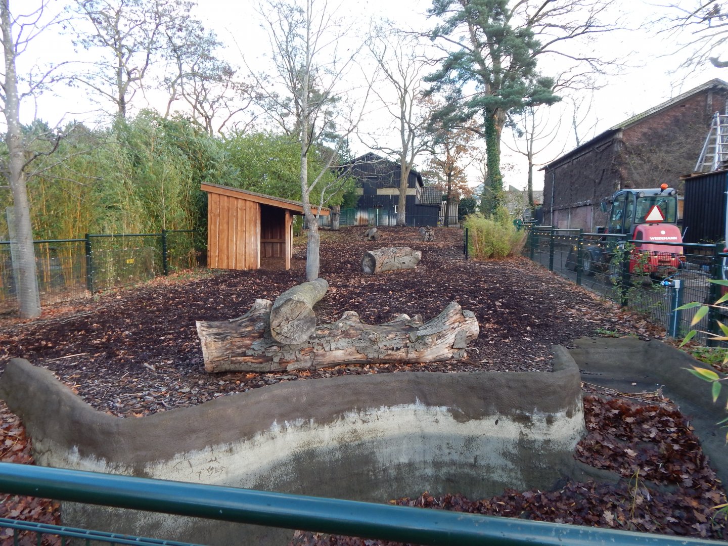 Malayan tapir exhibit 261124