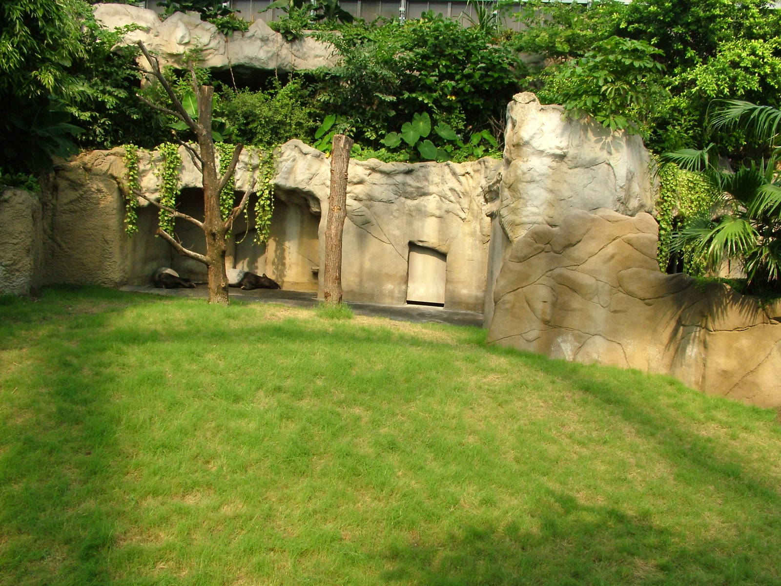 Malayan Tapir Exhibit - Gondwanaland, Leipzig, 02/09/11