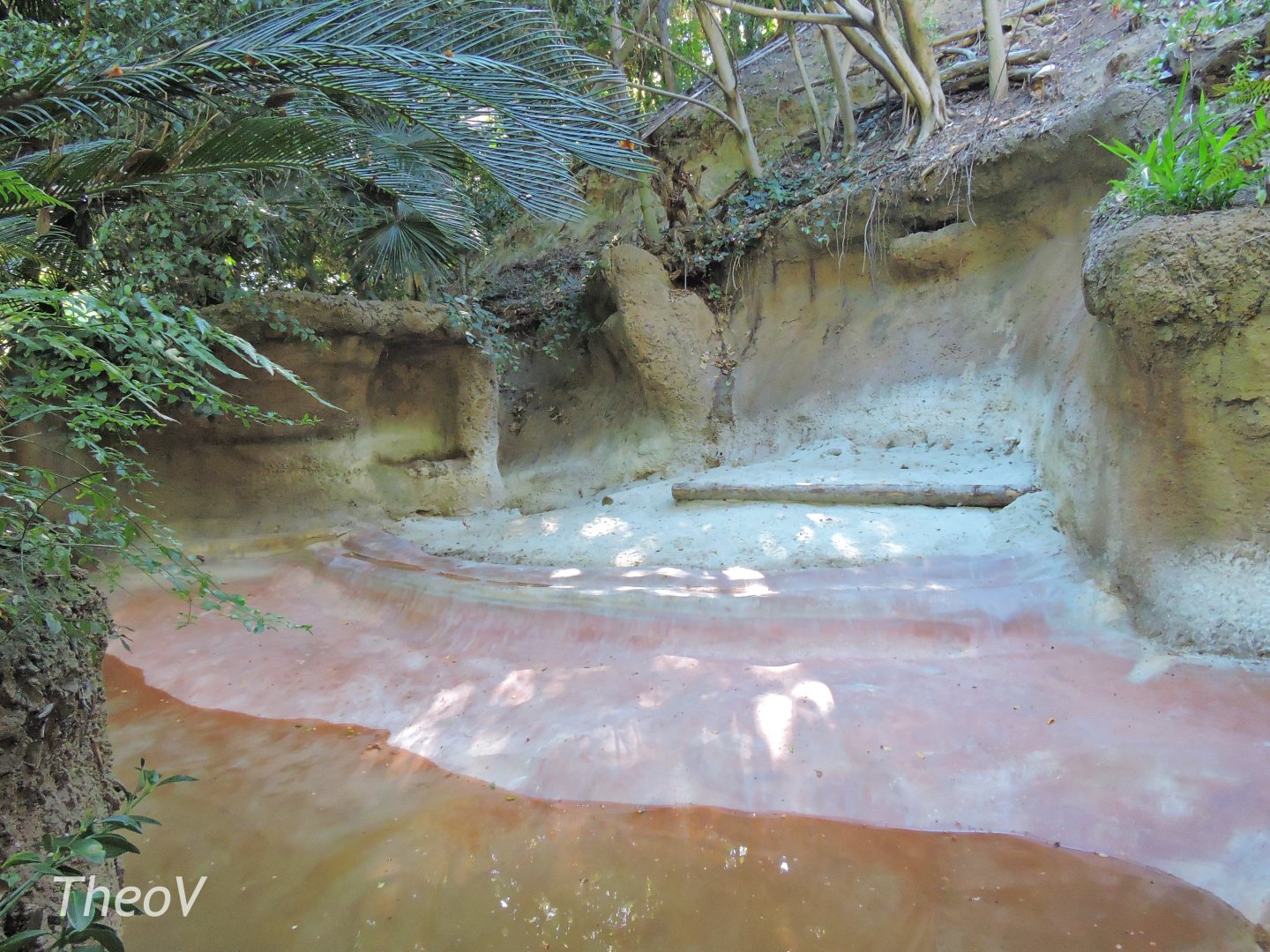 Malayan tapir exhibit - Lost Forest [2015]