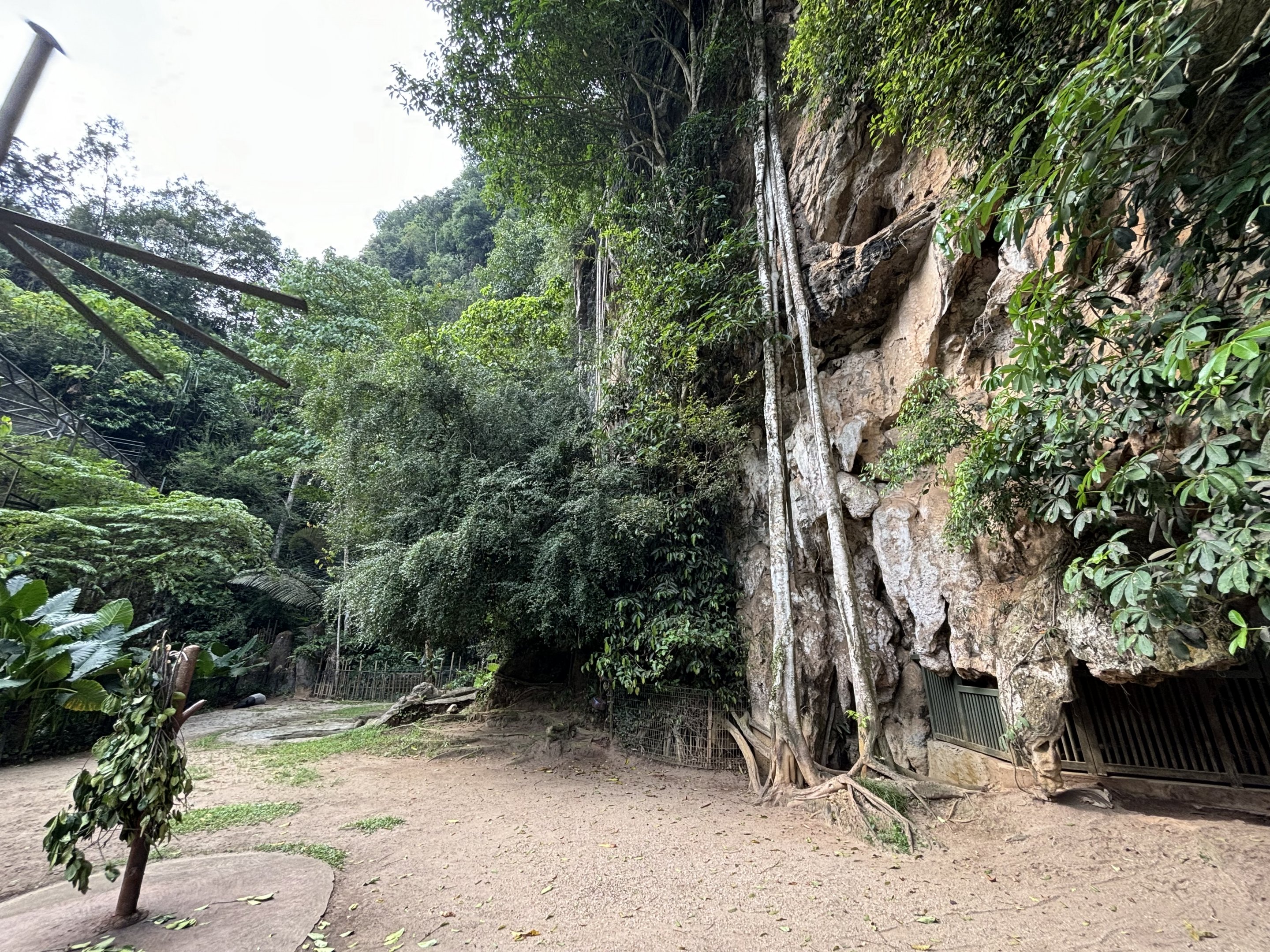 Malayan Tapir Exhibit - Lost World of Tambun